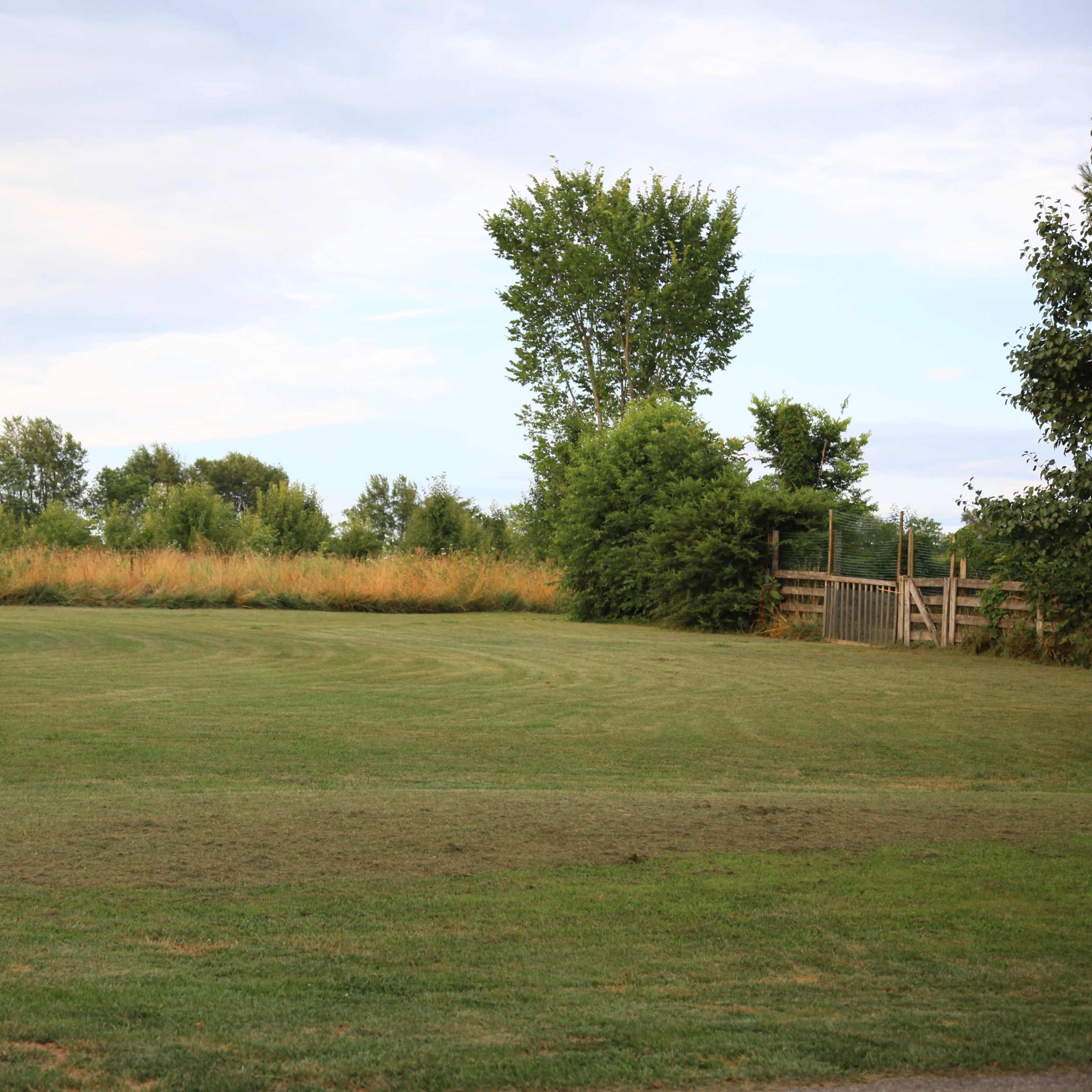 A wide open grassy area is bordered by trees and a fence, with a field of tall grass in the background.