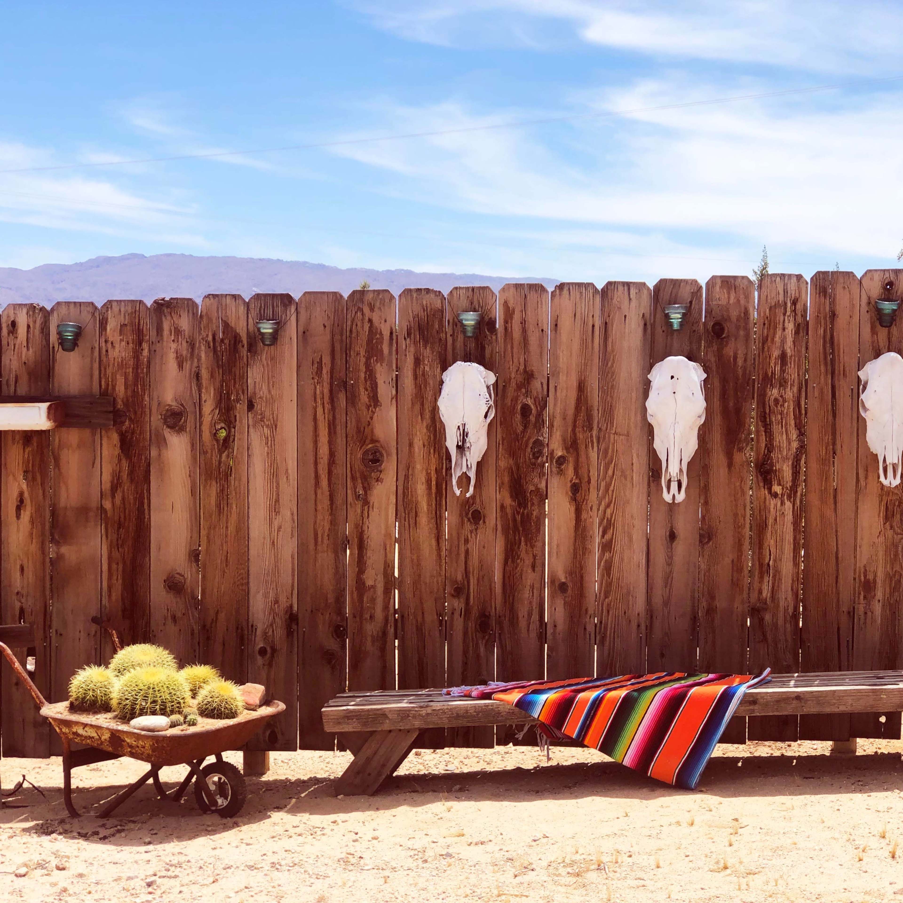 A wooden fence with three white skulls mounted on it stands behind a colorful striped blanket lying on a bench, with a wheelbarrow of cacti nearby.