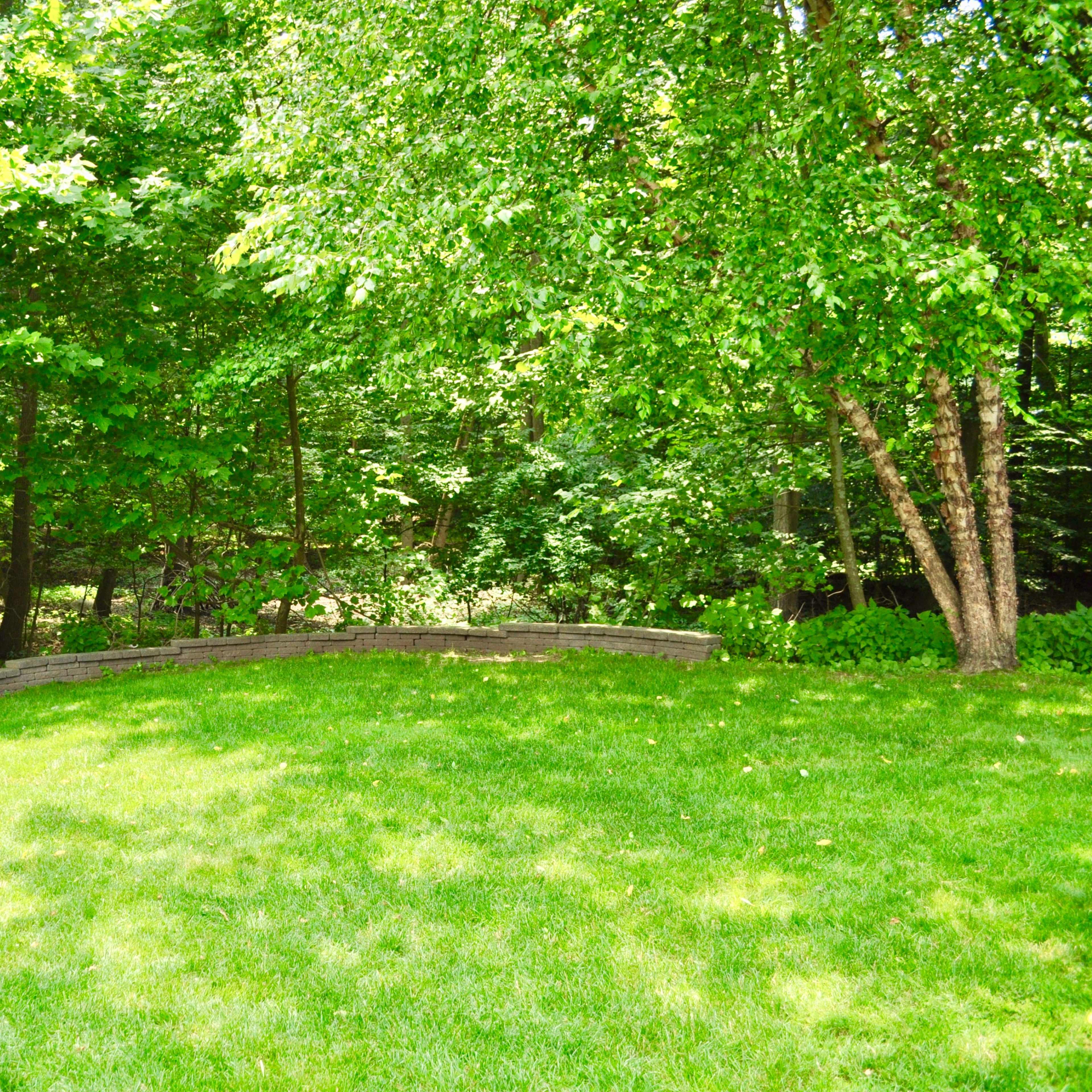 A curved wooden bench is set on a grassy area surrounded by dense green trees.