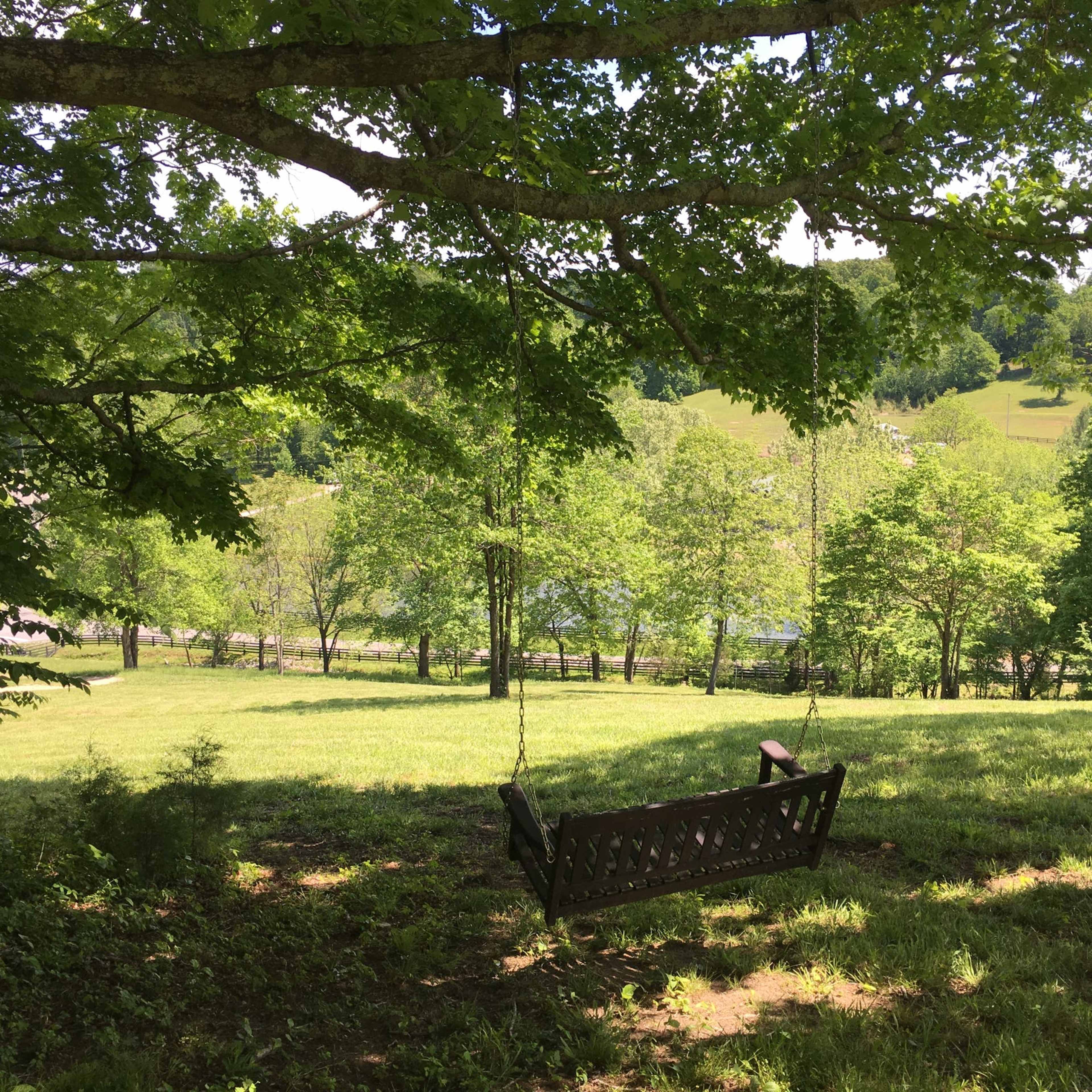 A wooden swing hangs from a tree branch, overlooking a grassy area and a distant view of trees and hills.