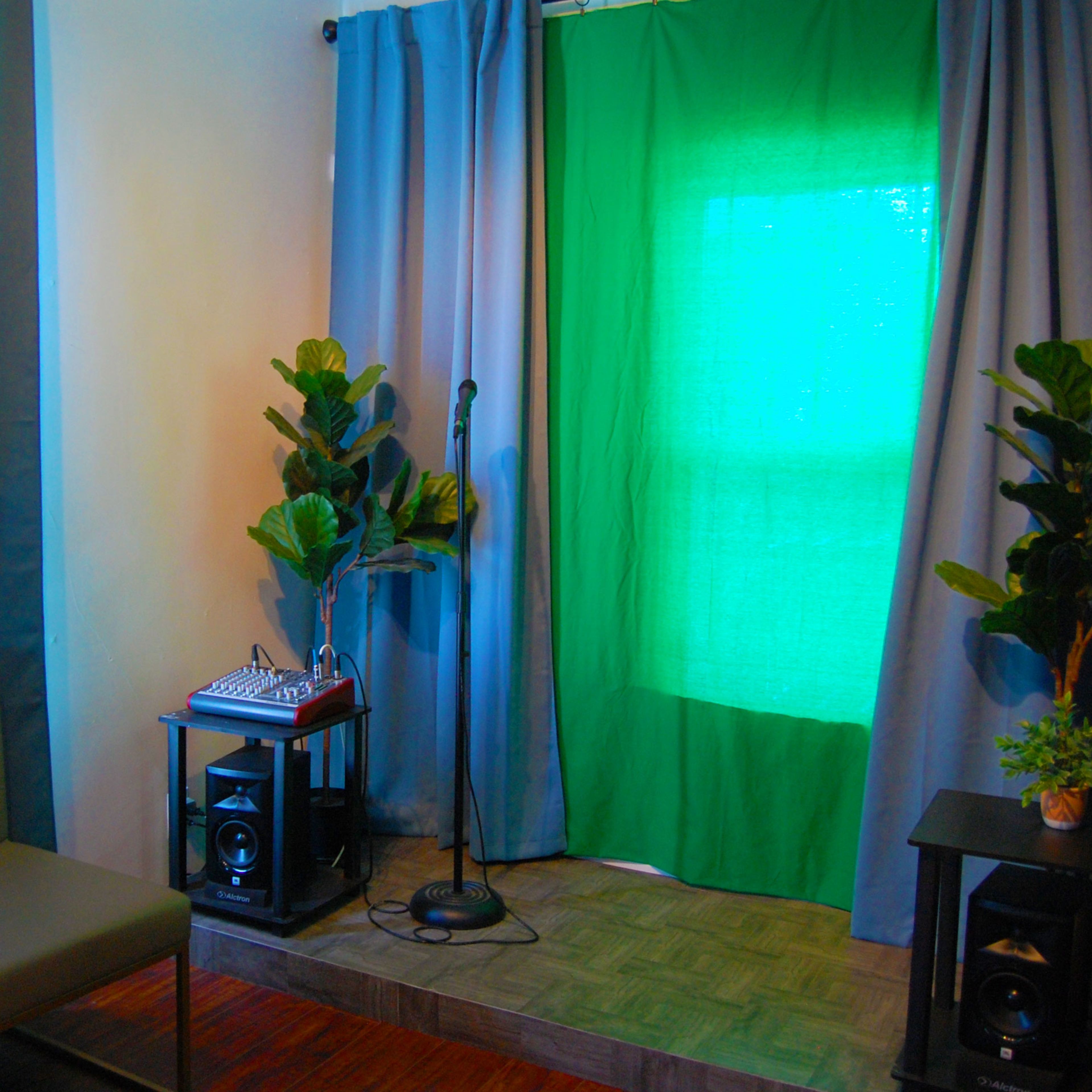 A small room with a green backdrop, a microphone stand, potted plants, and a seating area with a grey couch.