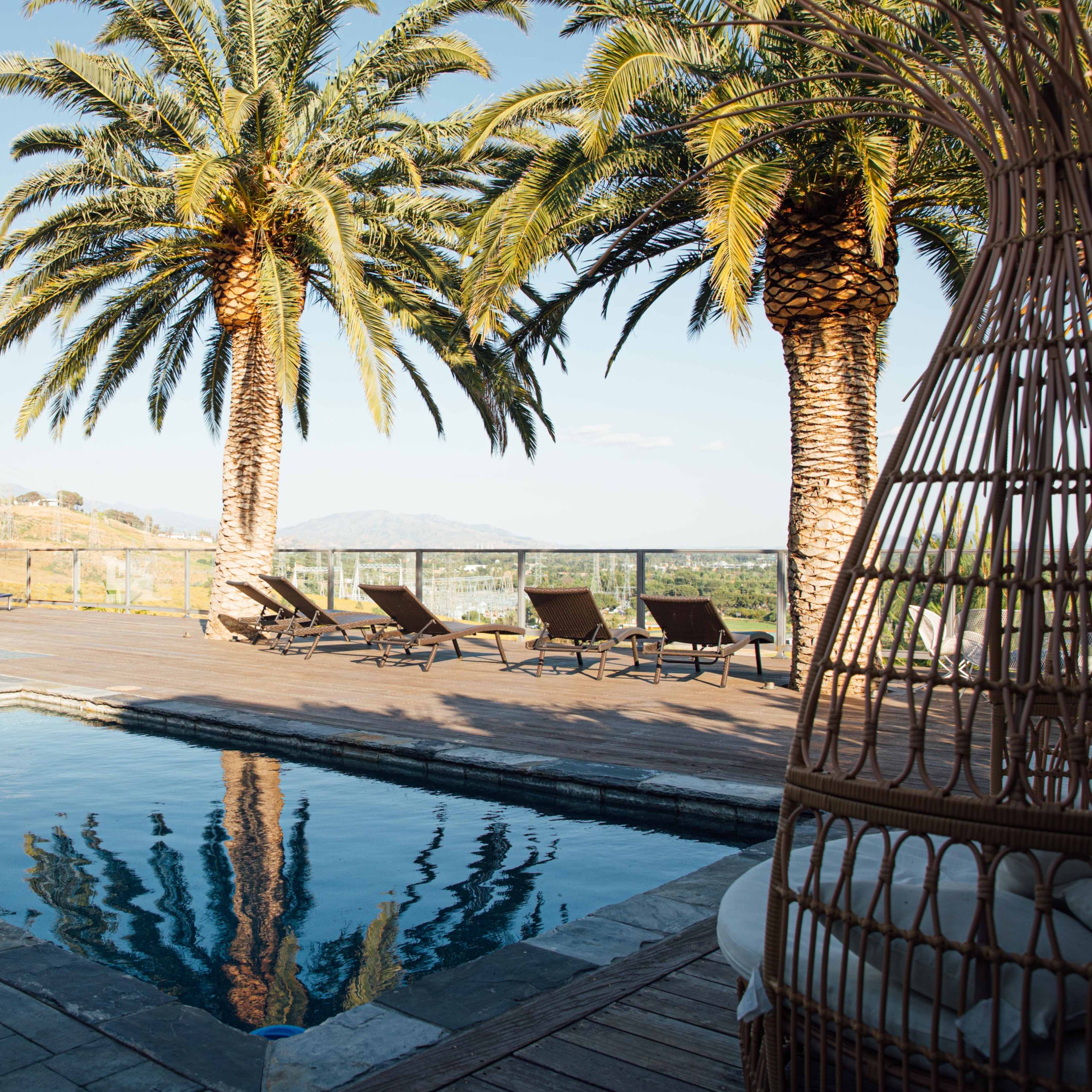 A poolside area surrounded by palm trees and lounge chairs, with a clear sky in the background.