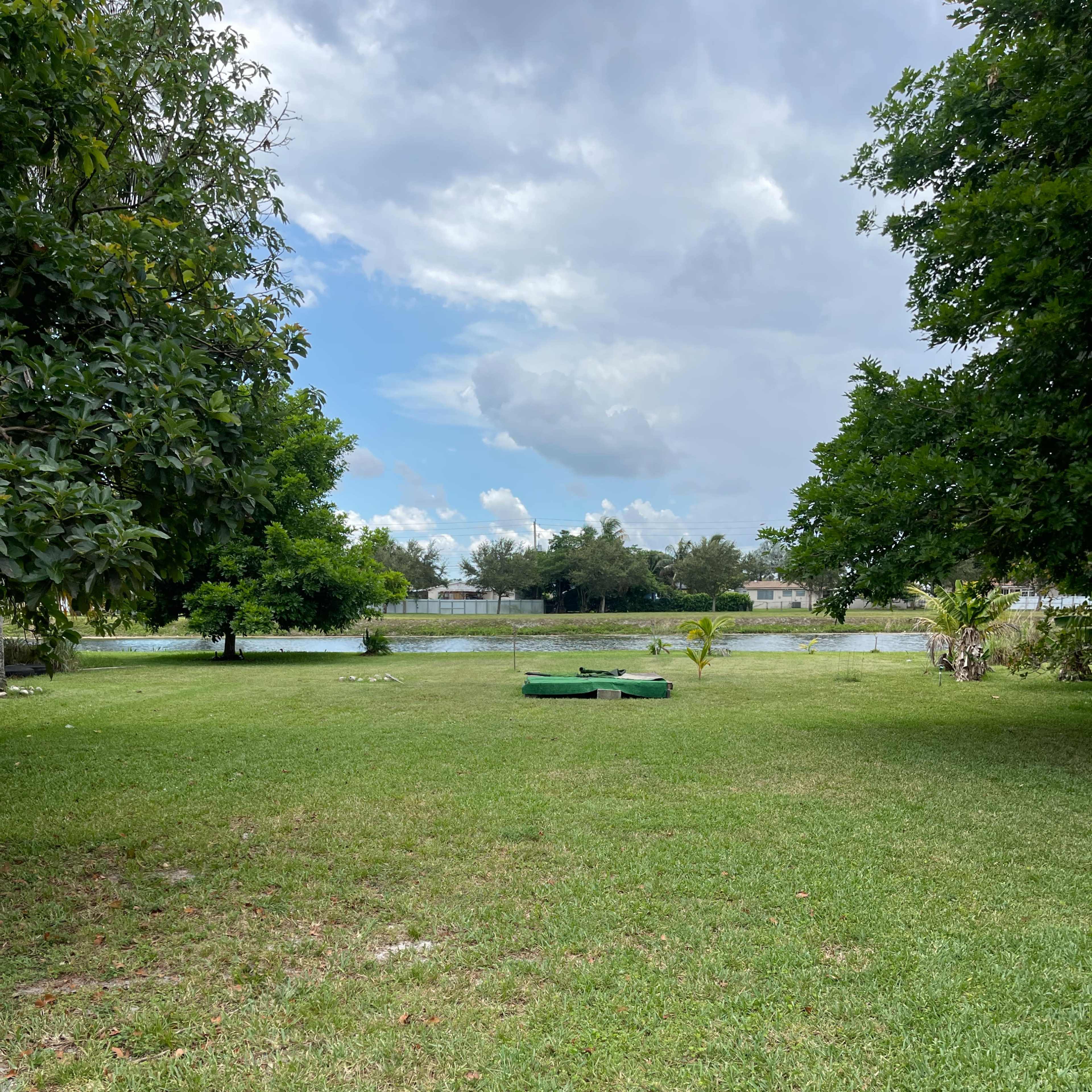 A grassy area with a view of a body of water in the background, framed by trees and cloudy blue skies.