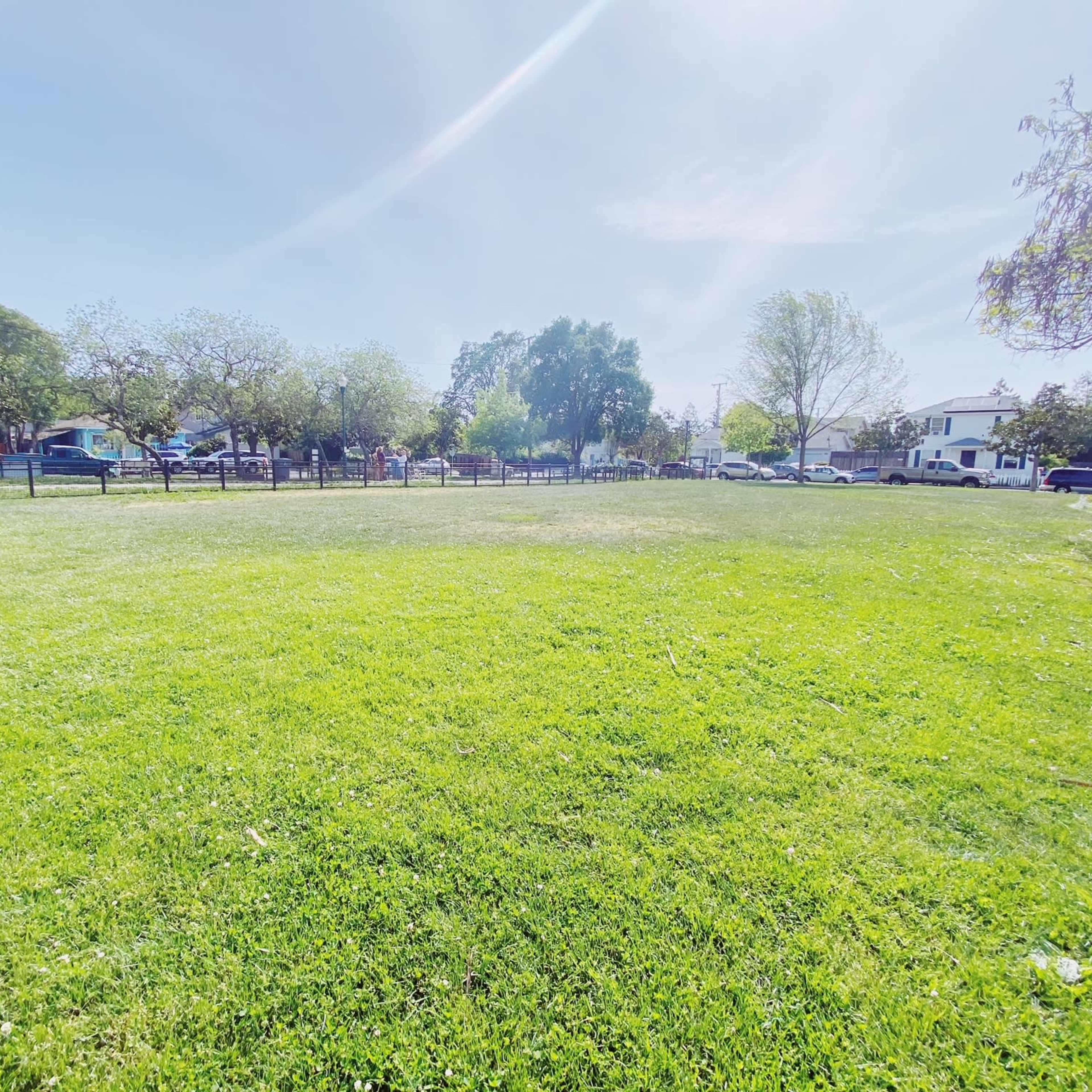 A wide, grassy field with scattered trees and a few parked cars near residential buildings in the background.