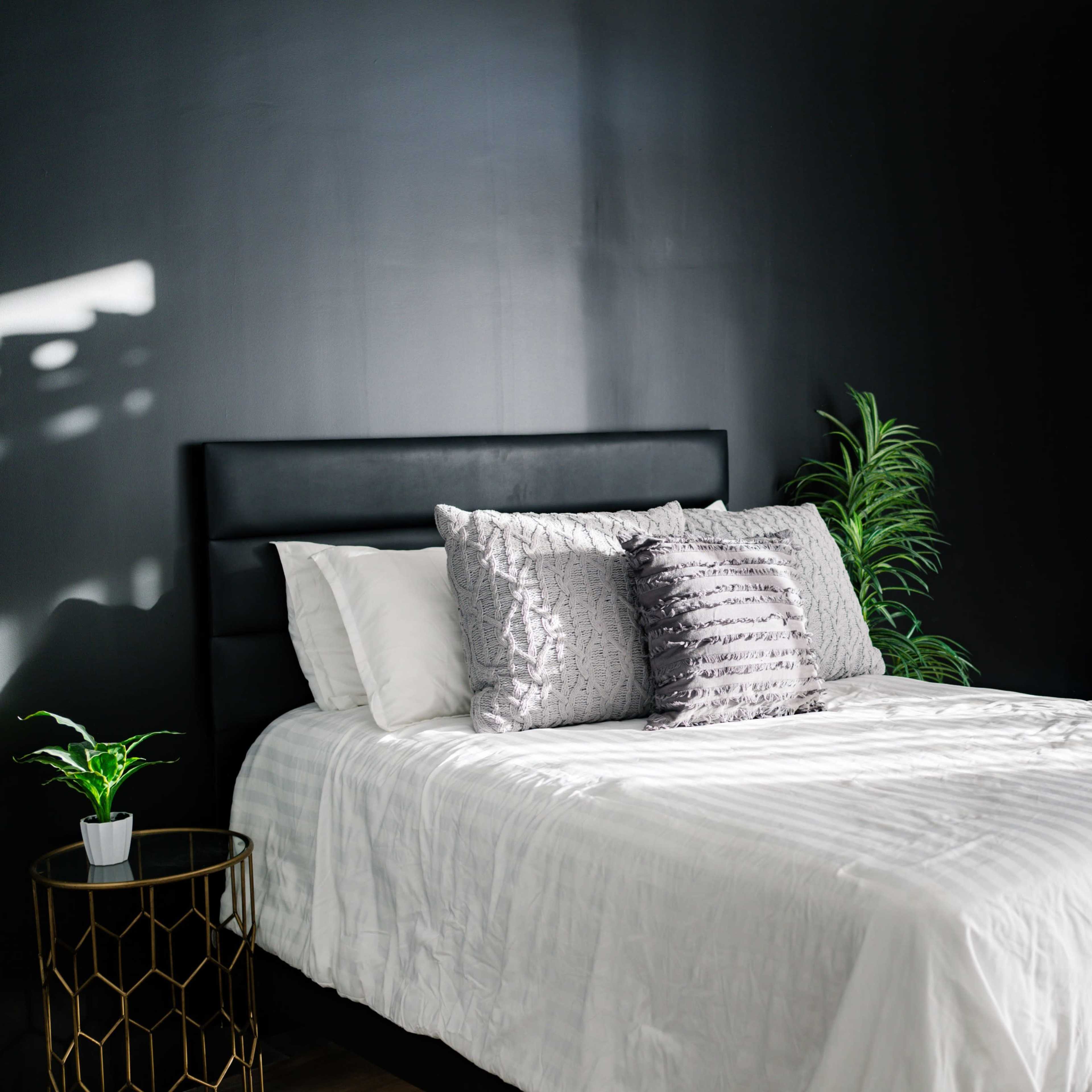 Petite Lifestyle Room Image in Mesa, Mesa, AZ