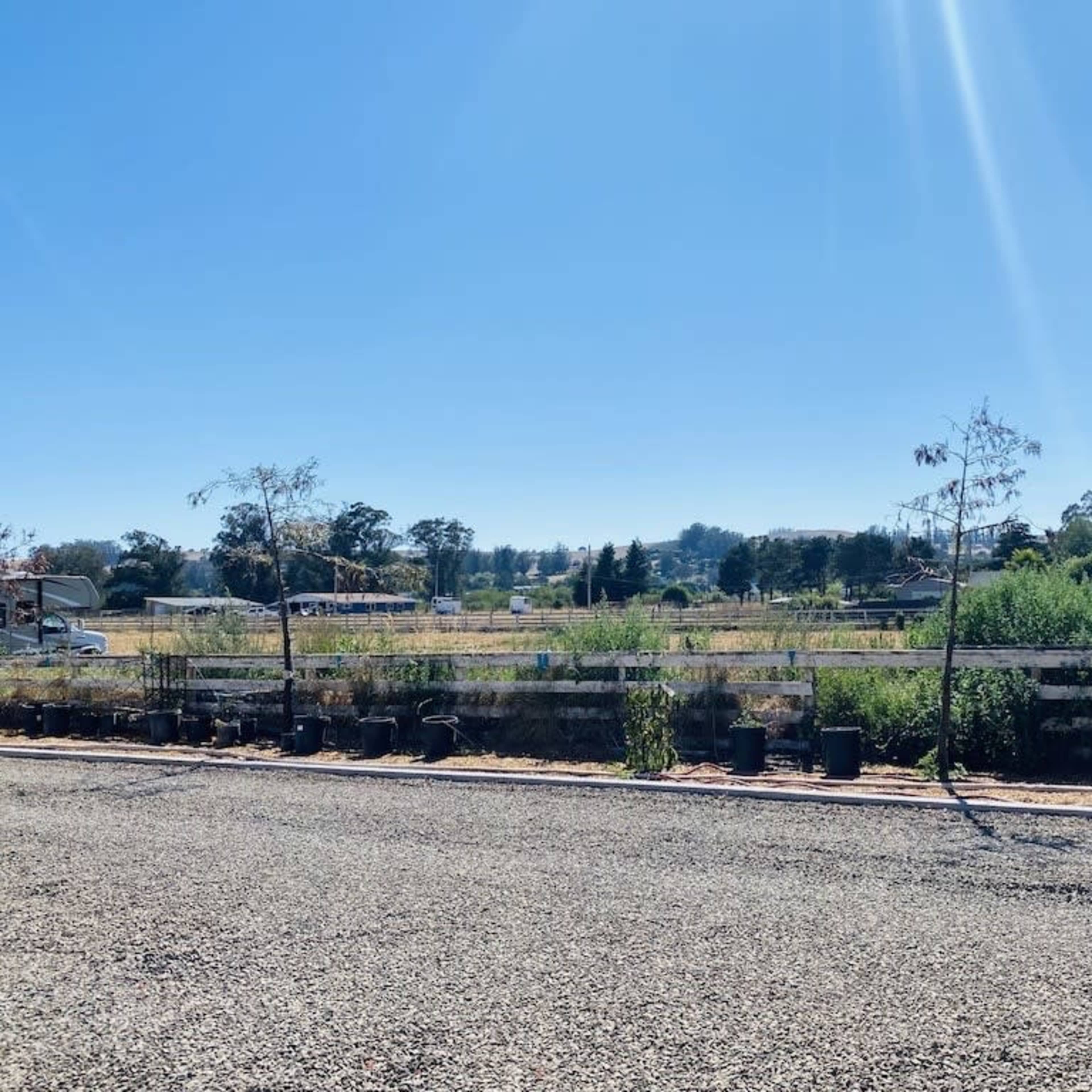 A wide view of a rural landscape features a gravel road lined with potted plants and fields in the background under a clear blue sky.