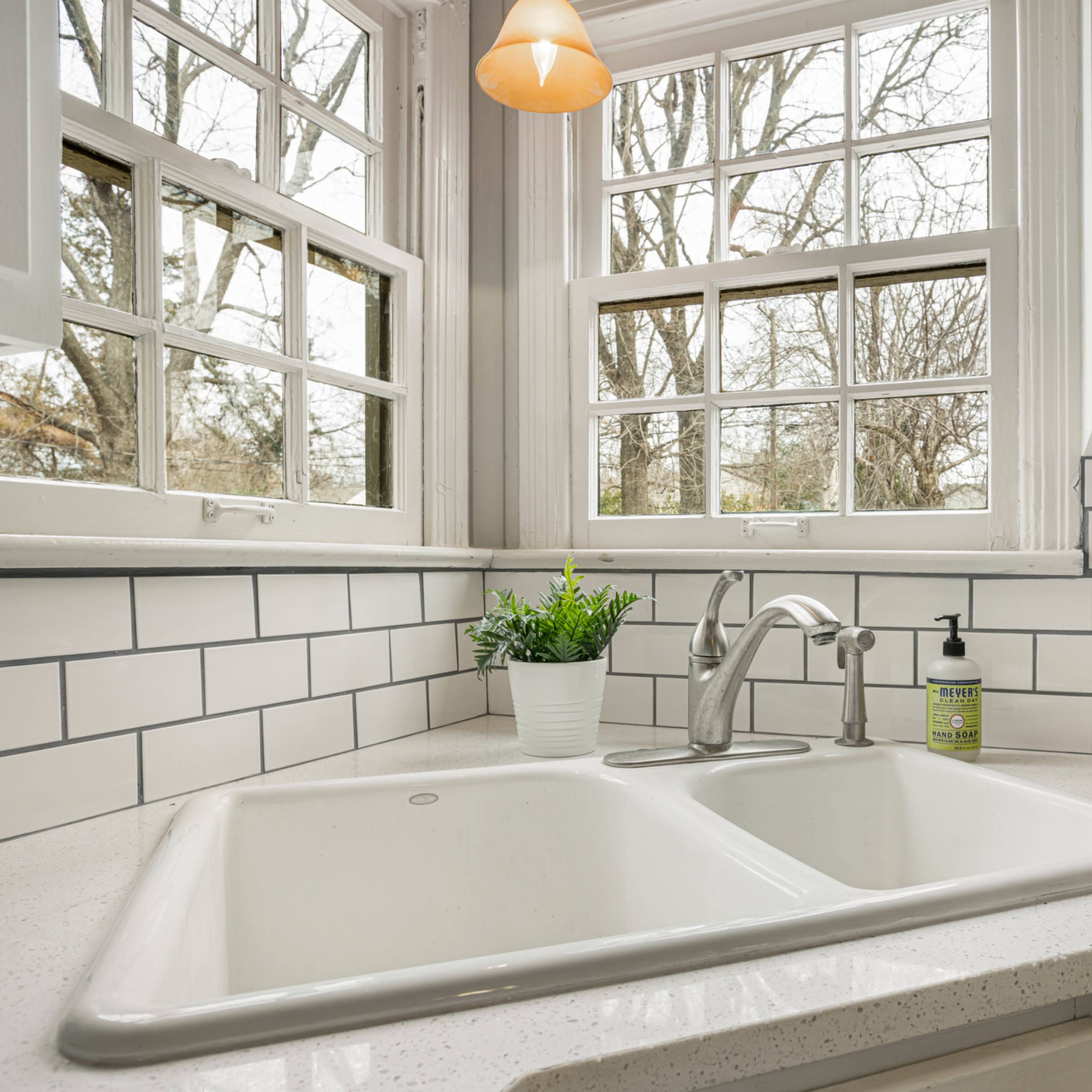 A double basin kitchen sink is positioned under a window, with a small plant and hand soap nearby.