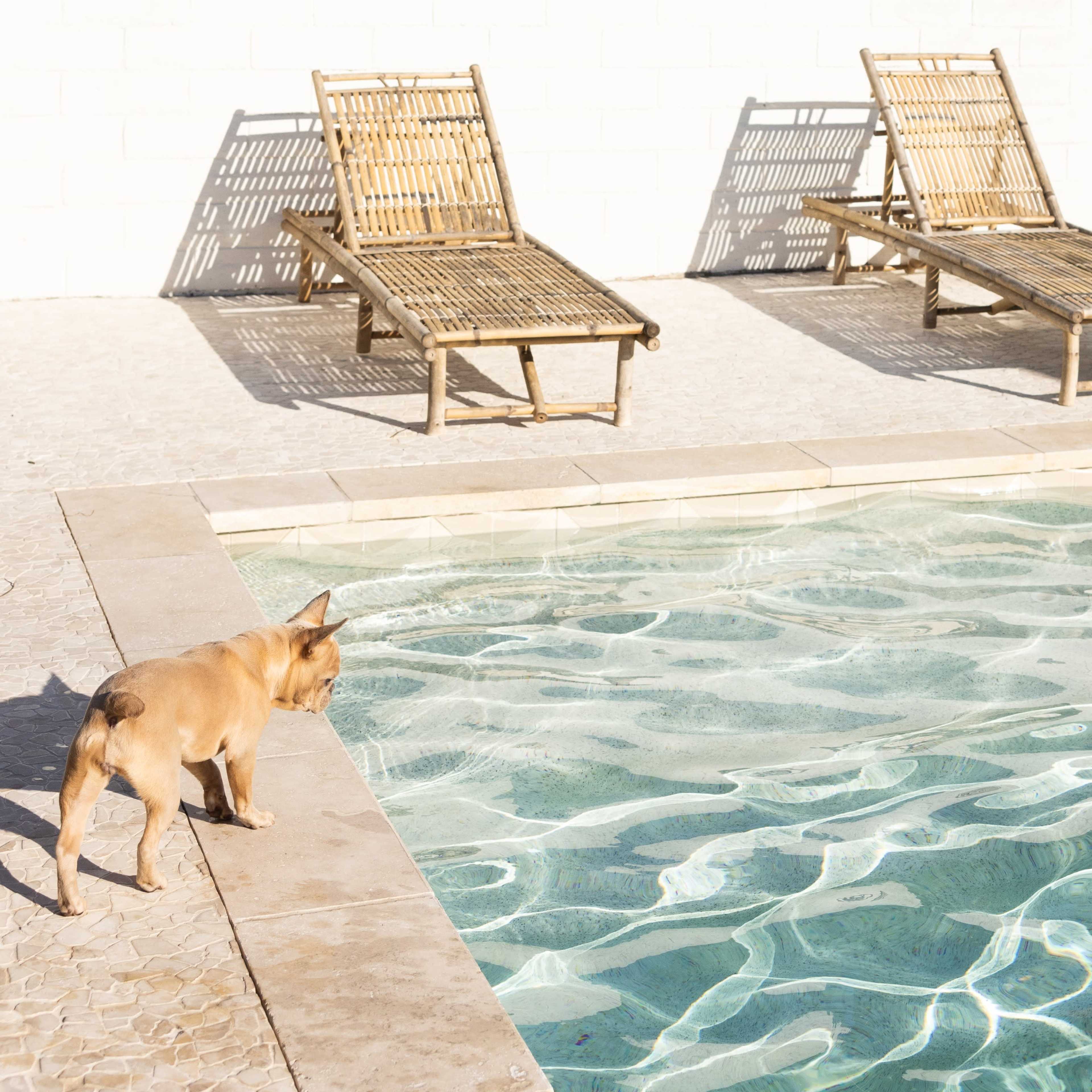 Tranquil Mexico-Inspired Home with Pool for Photoshoots Image in College Park, Costa Mesa, CA