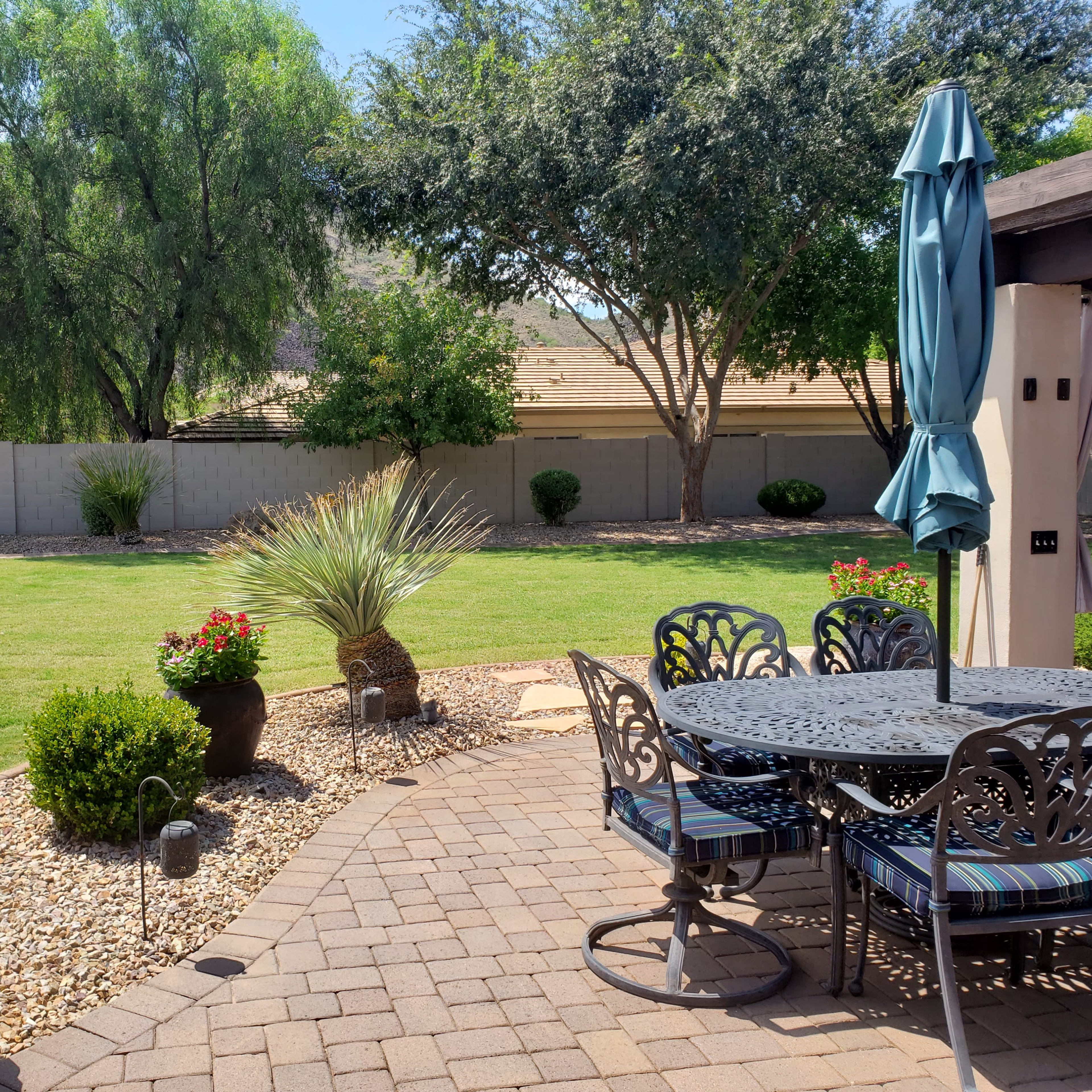 A landscaped backyard with a stone patio, garden furniture, and various plants against a gray wall and blue sky.