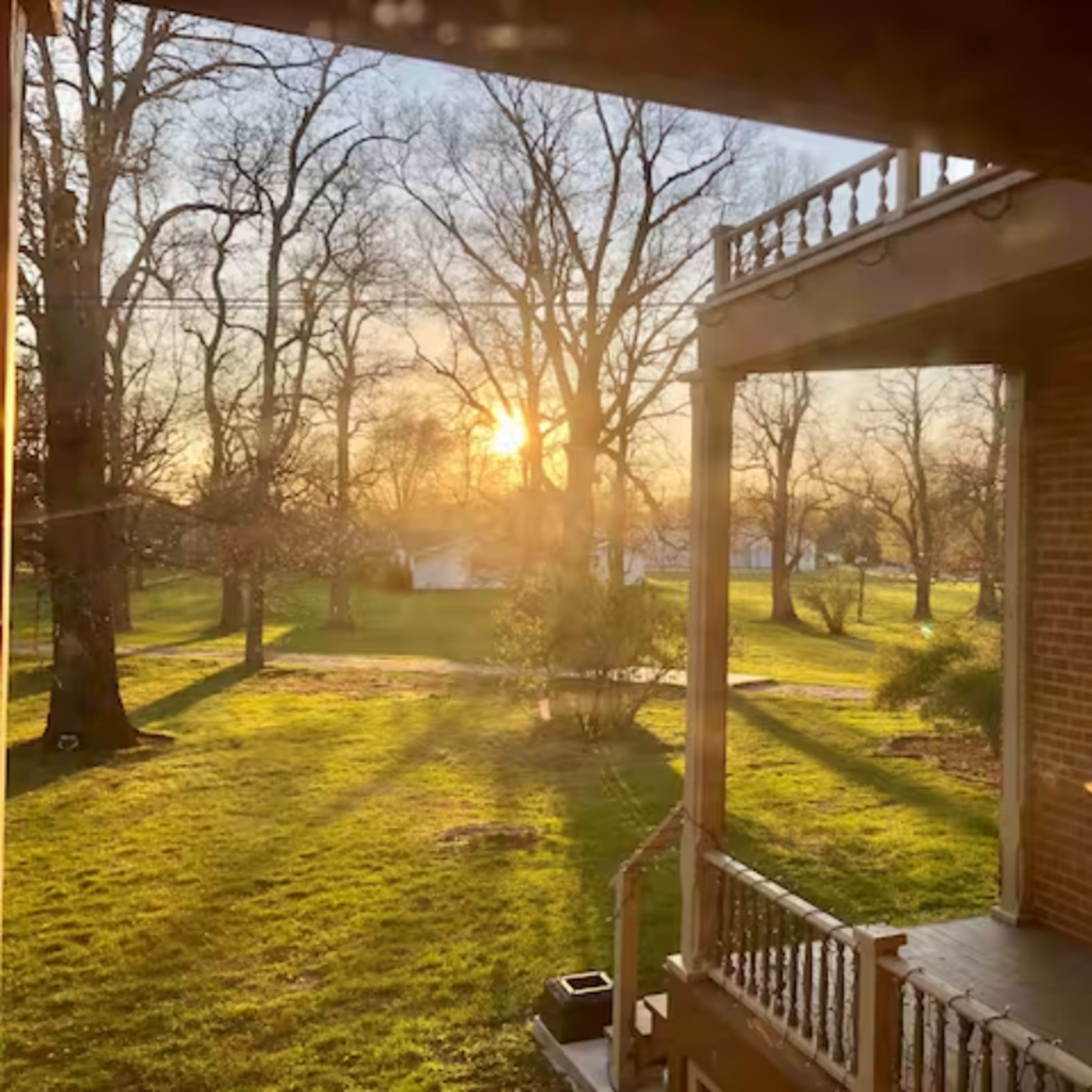 A view from a porch at sunset, highlighting bare trees and a grassy yard.