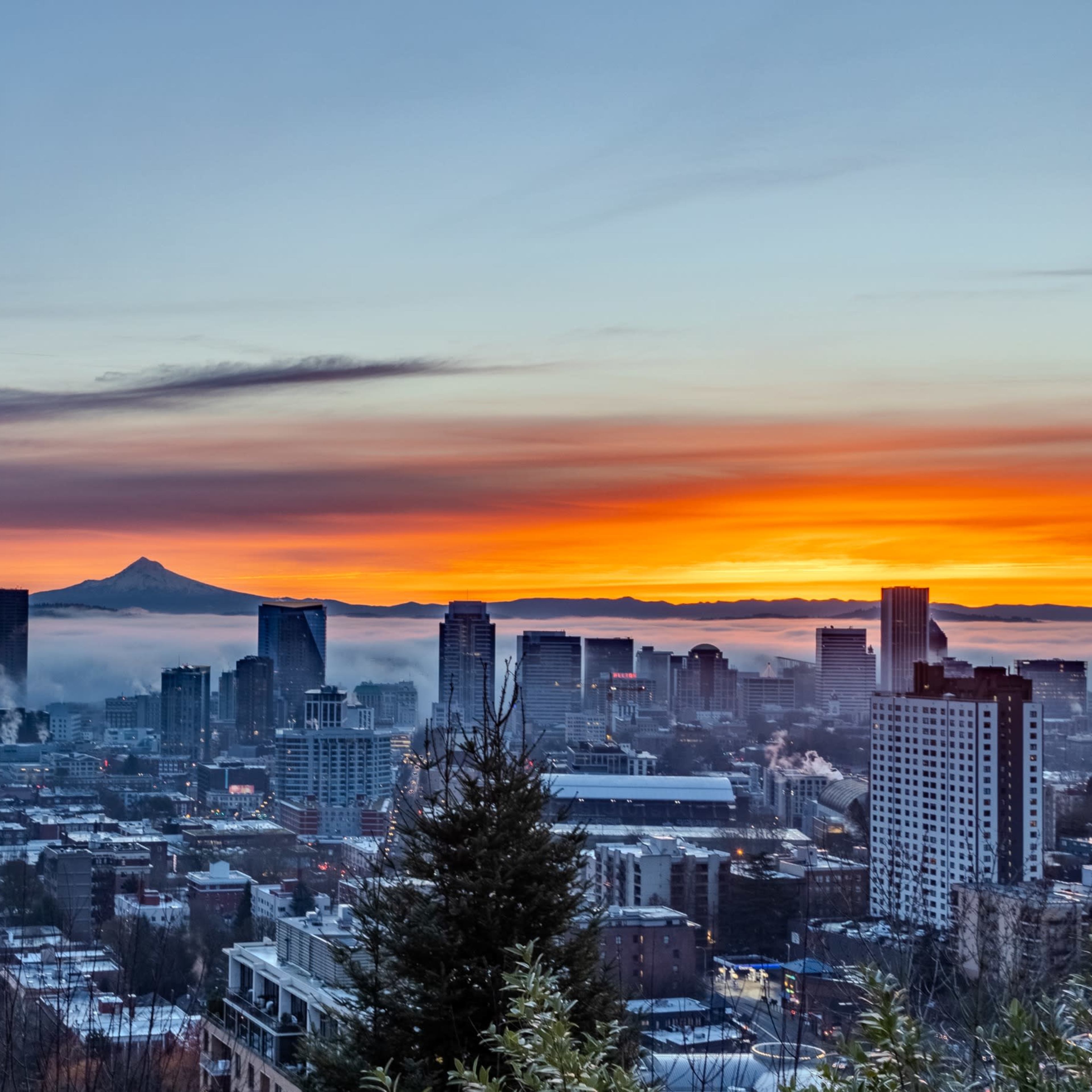 A city skyline at sunrise, with a mountain in the background and a blanket of fog covering the lower buildings.