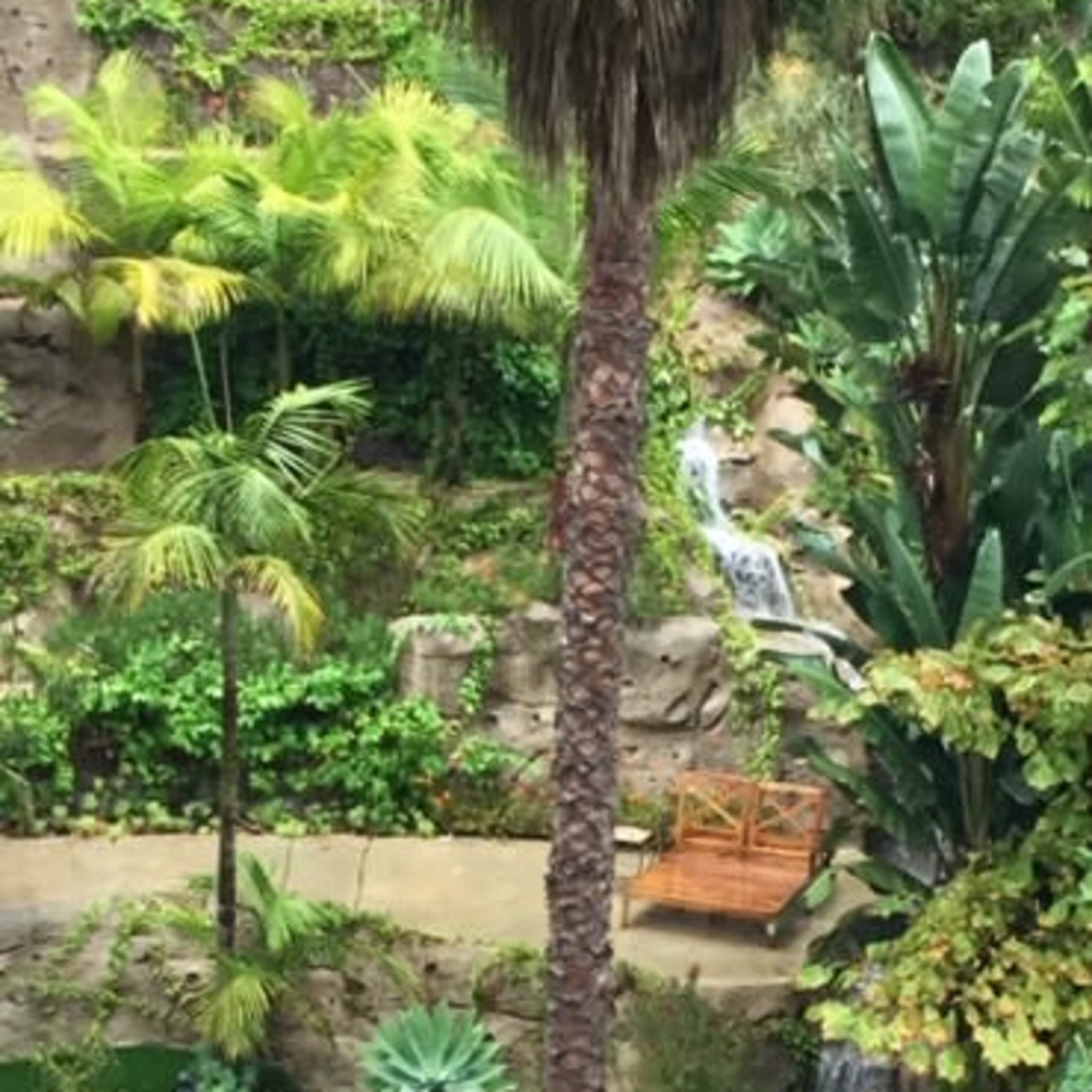 A lush garden featuring a palm tree, waterfalls, and various tropical plants surrounding a small pond.
