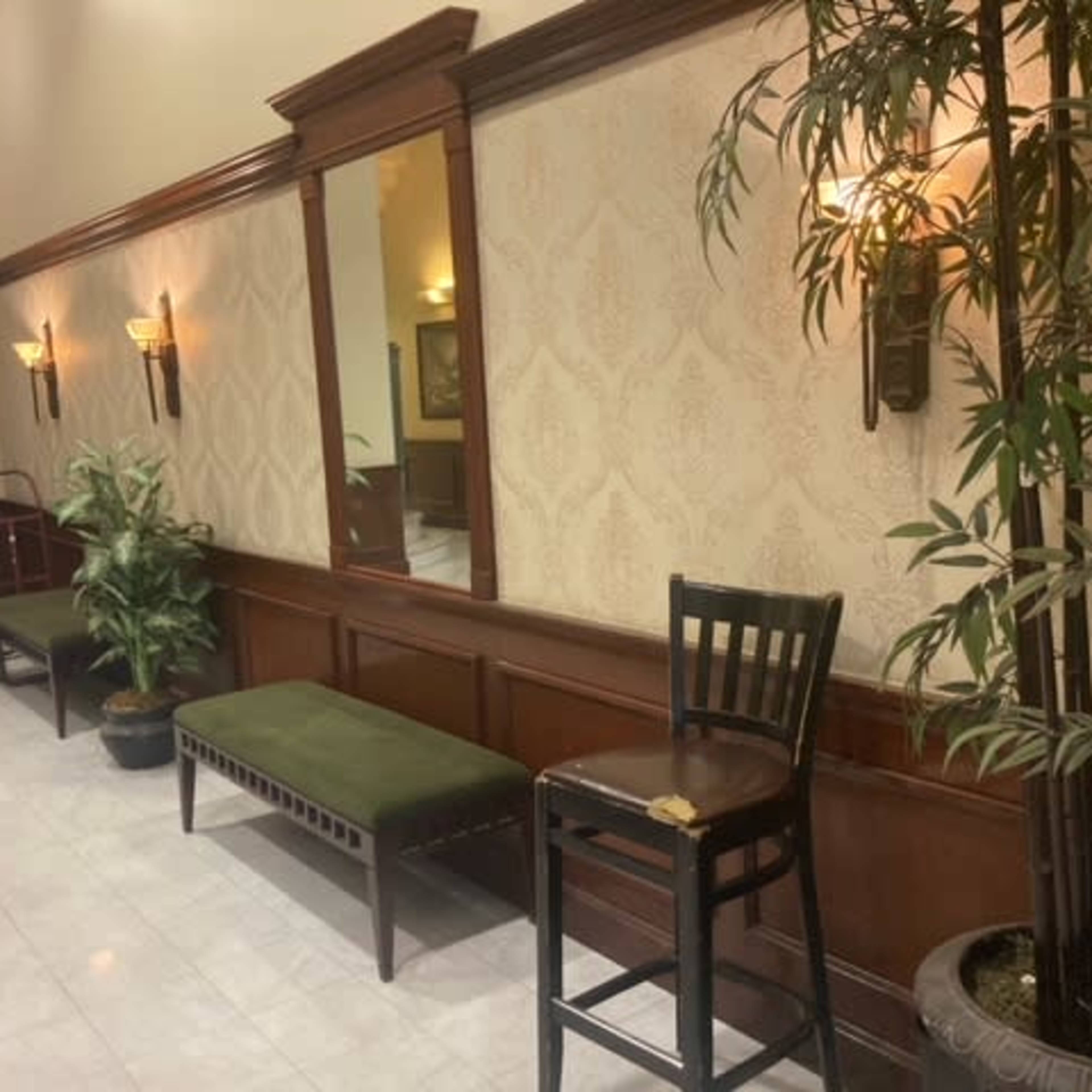 A hallway with a mirror, wooden paneling, green benches, and potted plants along the walls.