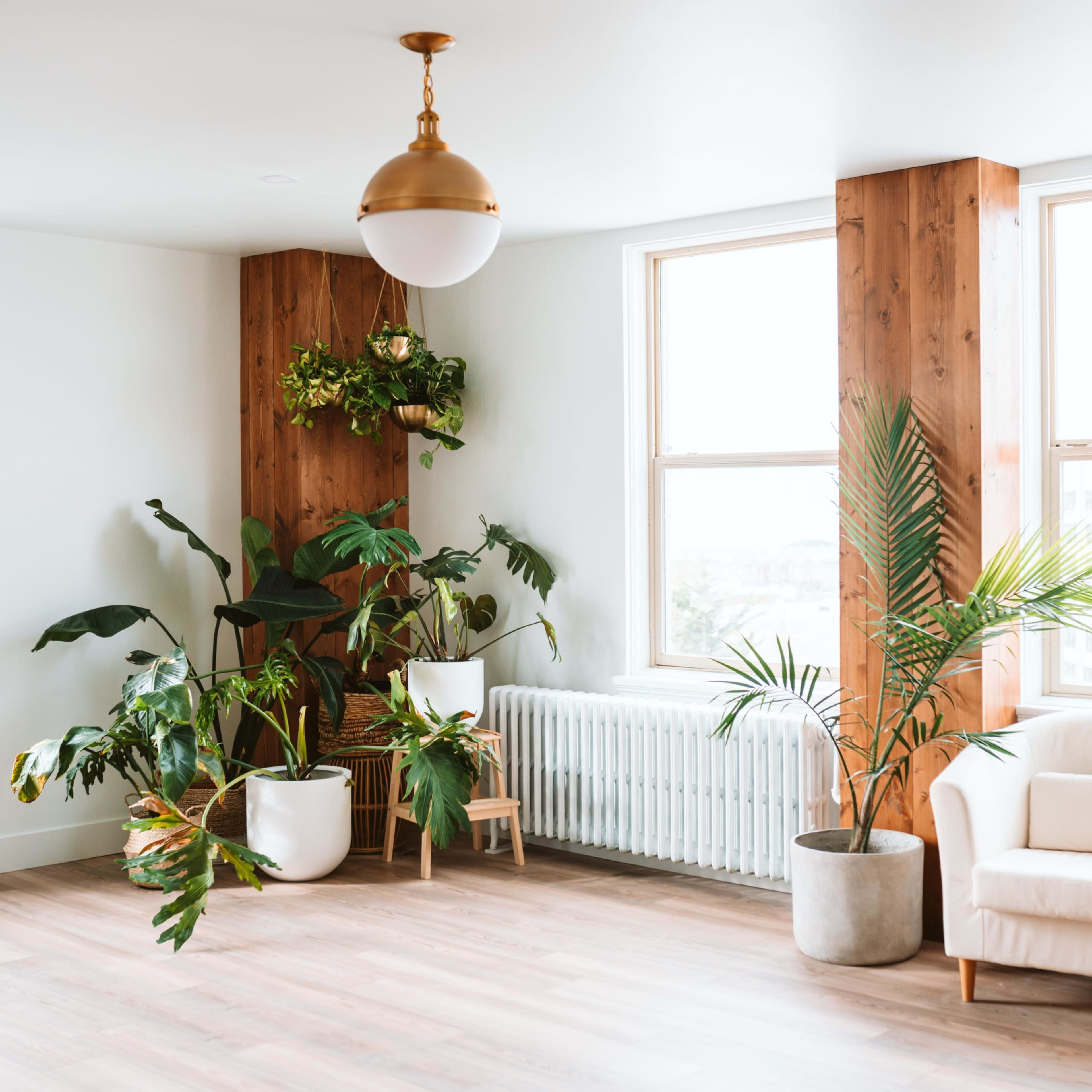 A bright, airy room features large windows, wooden accents, and various indoor plants alongside a white chair and a radiator.
