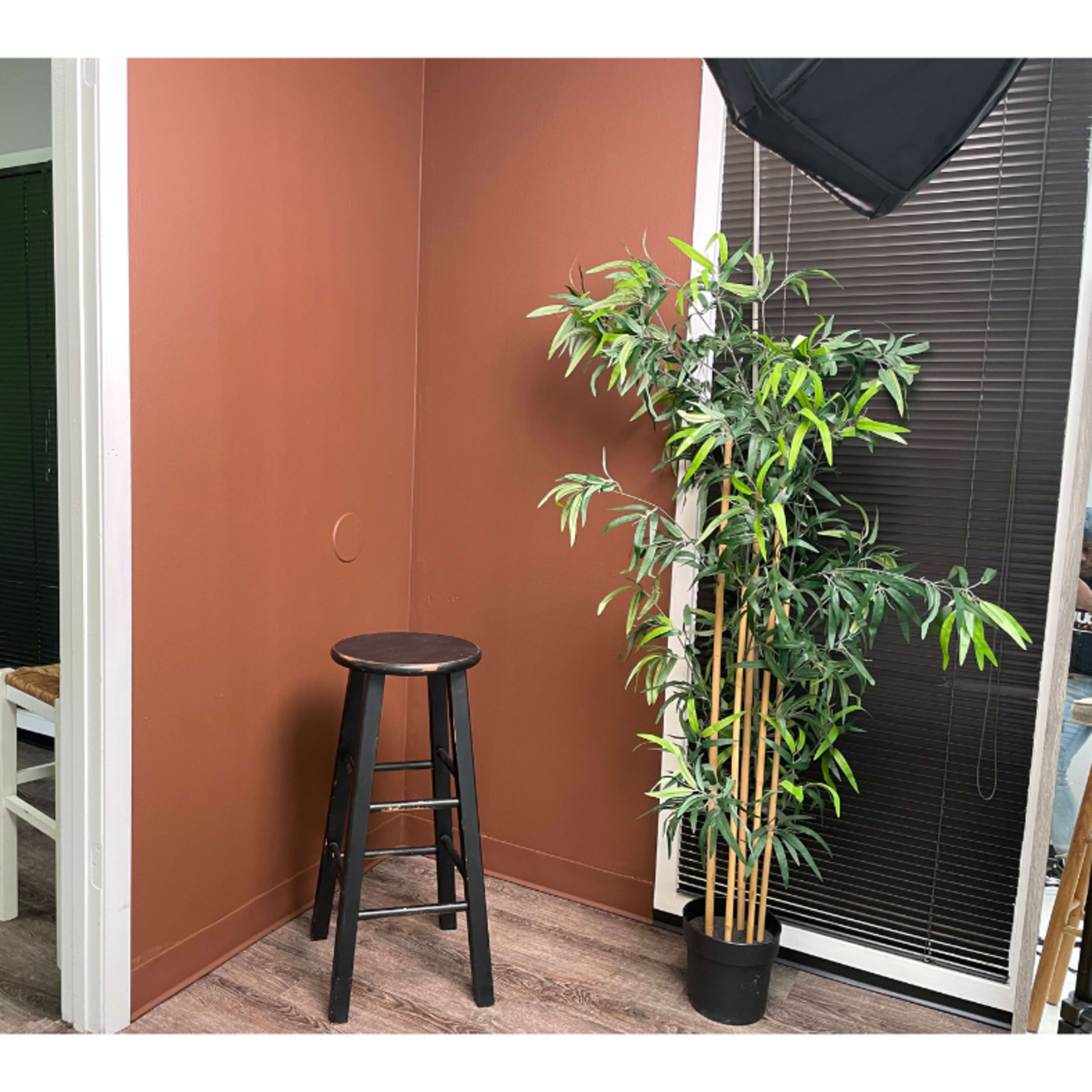 A small room corner with a brown-painted wall, a black stool, a potted plant, and a green wall in the background.
