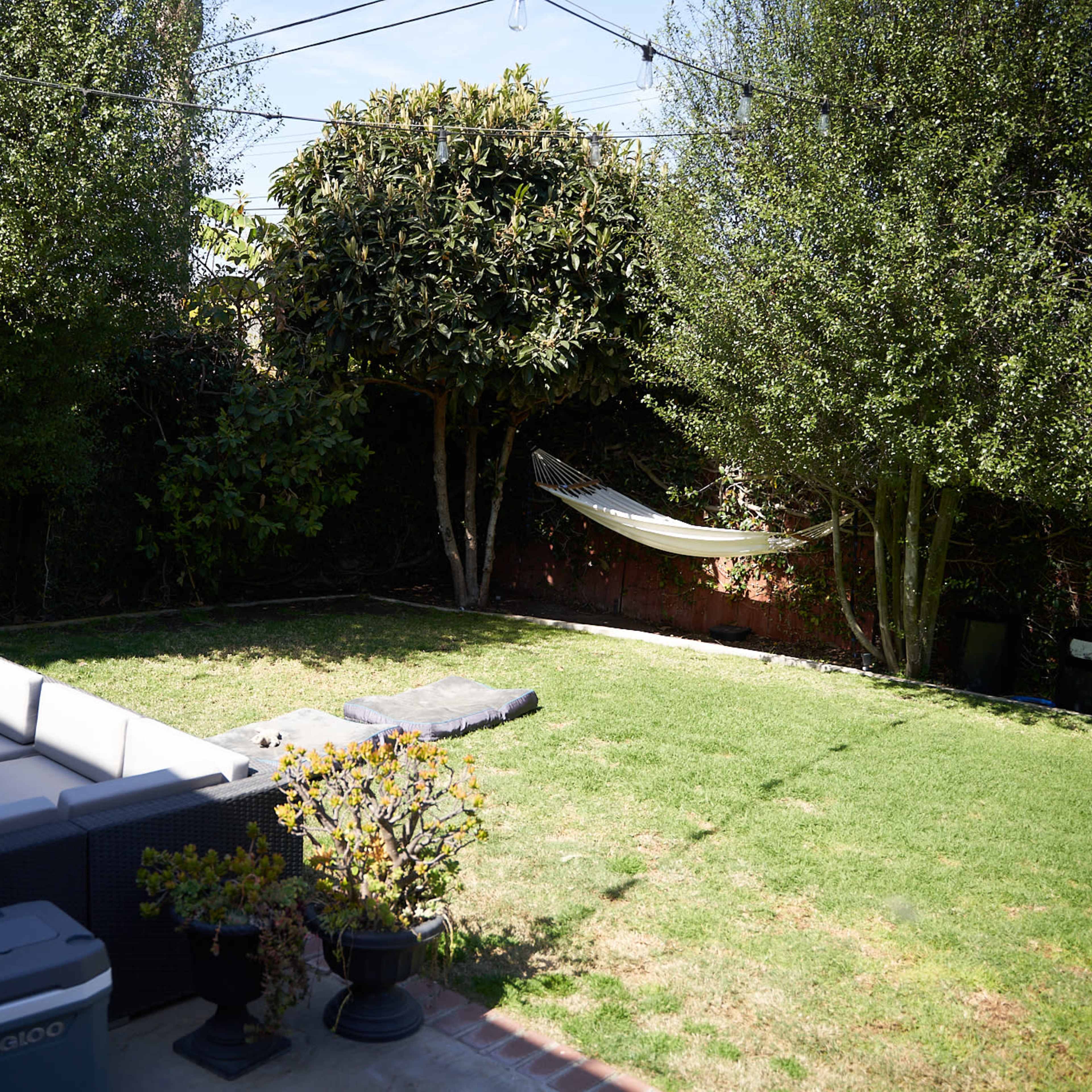 A backyard with a grass area, a sectional sofa, a hammock hanging between trees, and surrounding foliage.