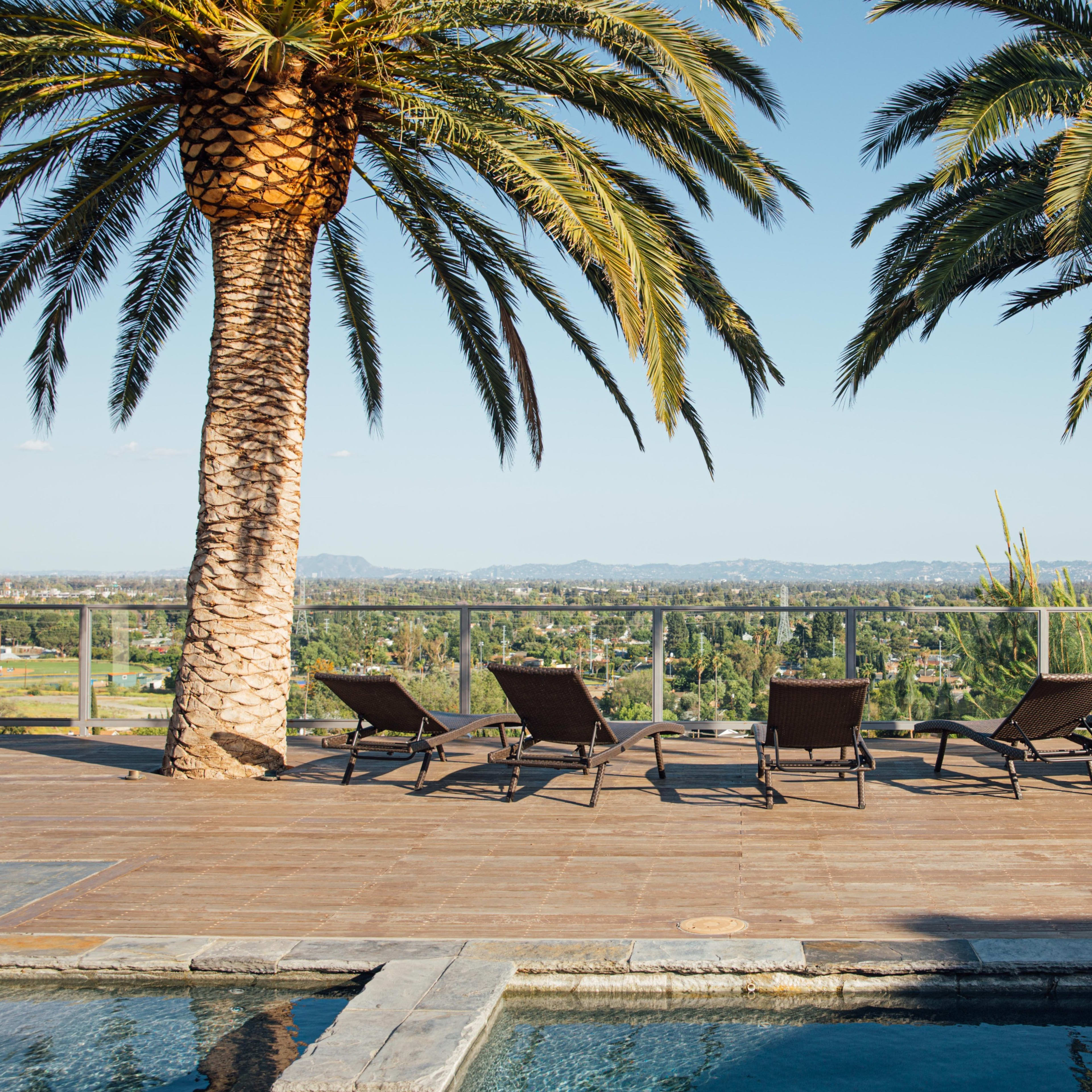 A poolside area with lounge chairs positioned under tall palm trees, overlooking a scenic landscape.