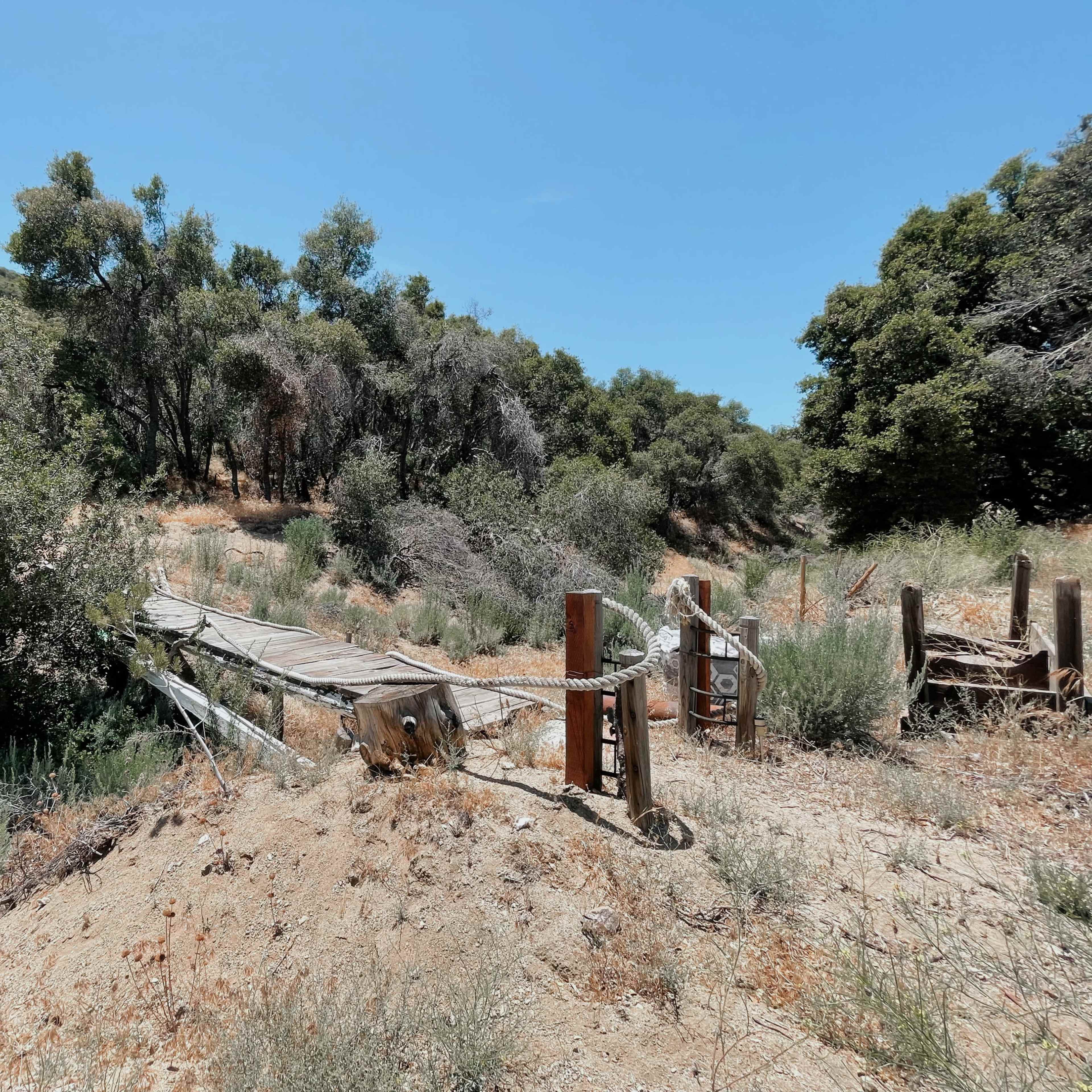 Expansive Mountain, Forest, Woods, Desert Backdrops Image in Leona Valley, Leona Valley, CA