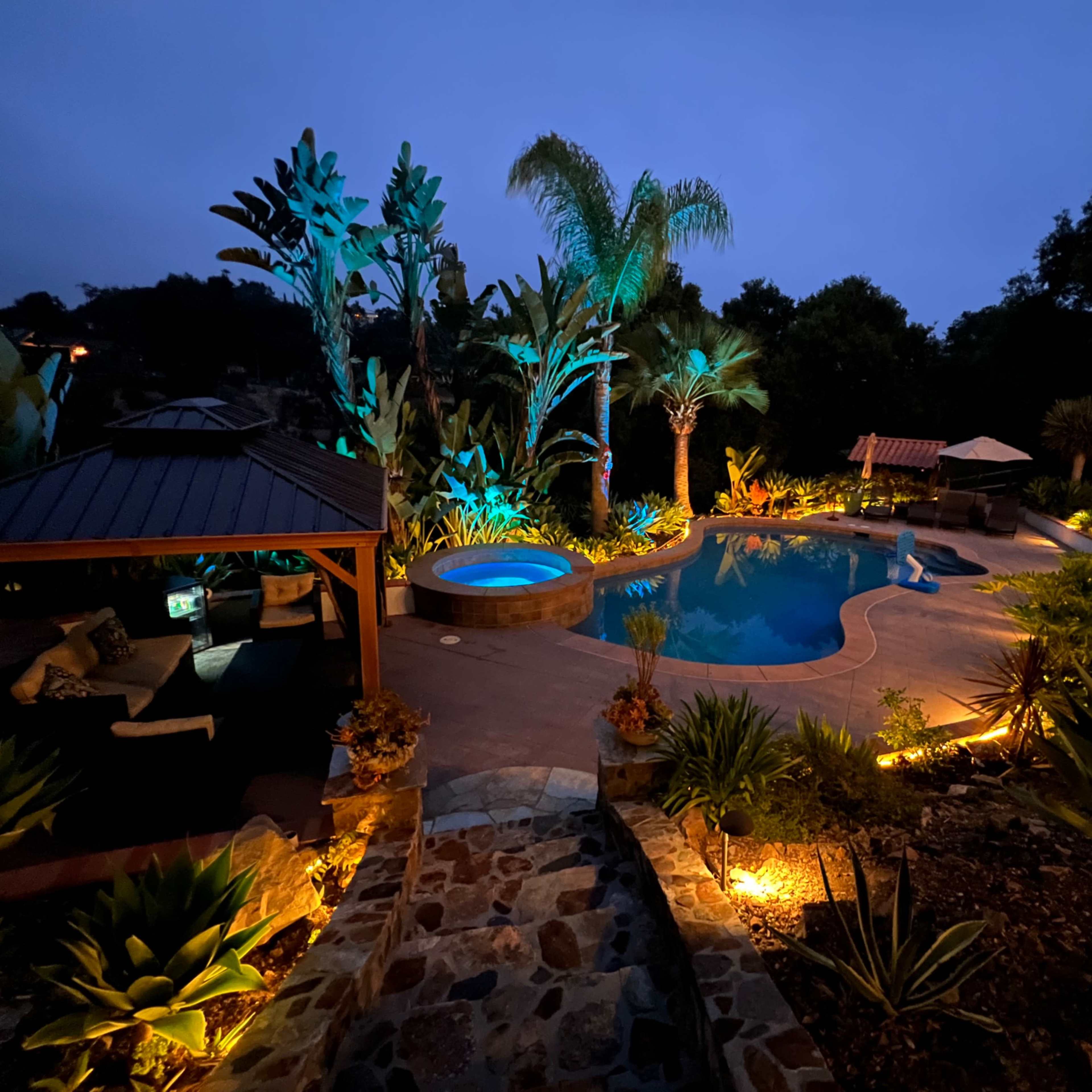 A landscaped pool area is illuminated at night with blue and warm lights highlighting palm trees, a hot tub, and surrounding foliage.
