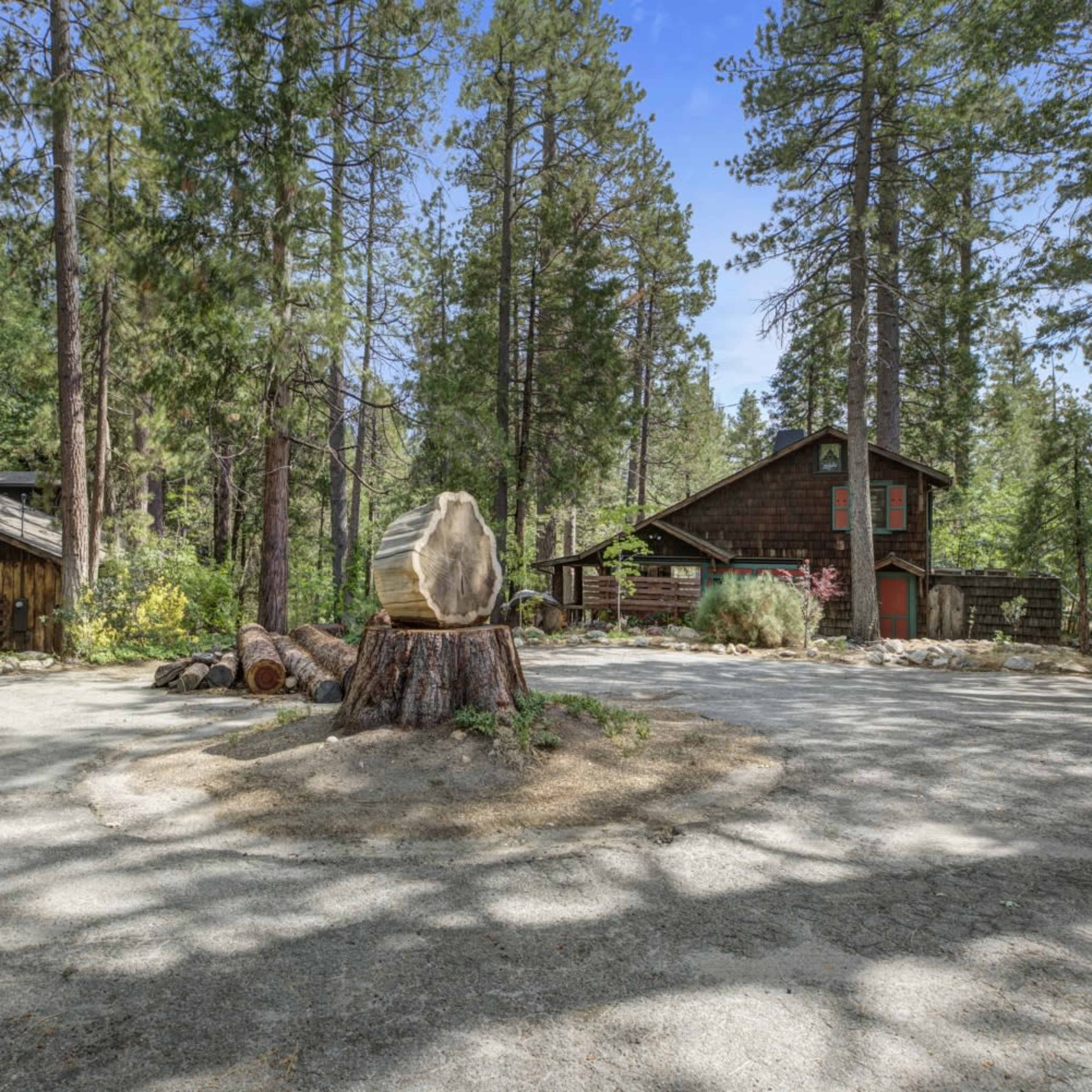 The Owl Pine Image in Idyllwild-Pine Cove, Idyllwild-Pine Cove, CA