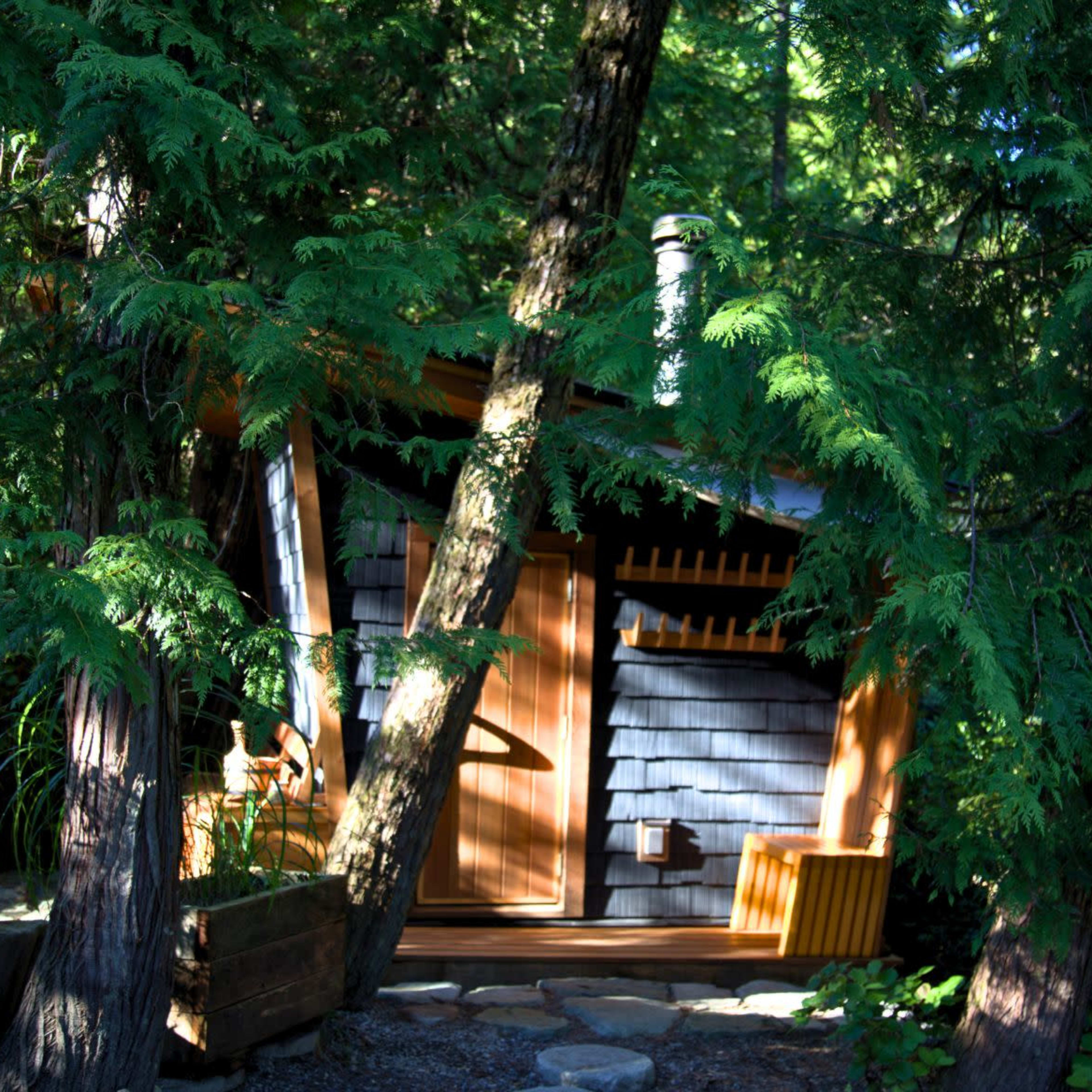 A small wooden cabin is surrounded by tall green trees, with a visible entrance and a stone pathway leading to it.