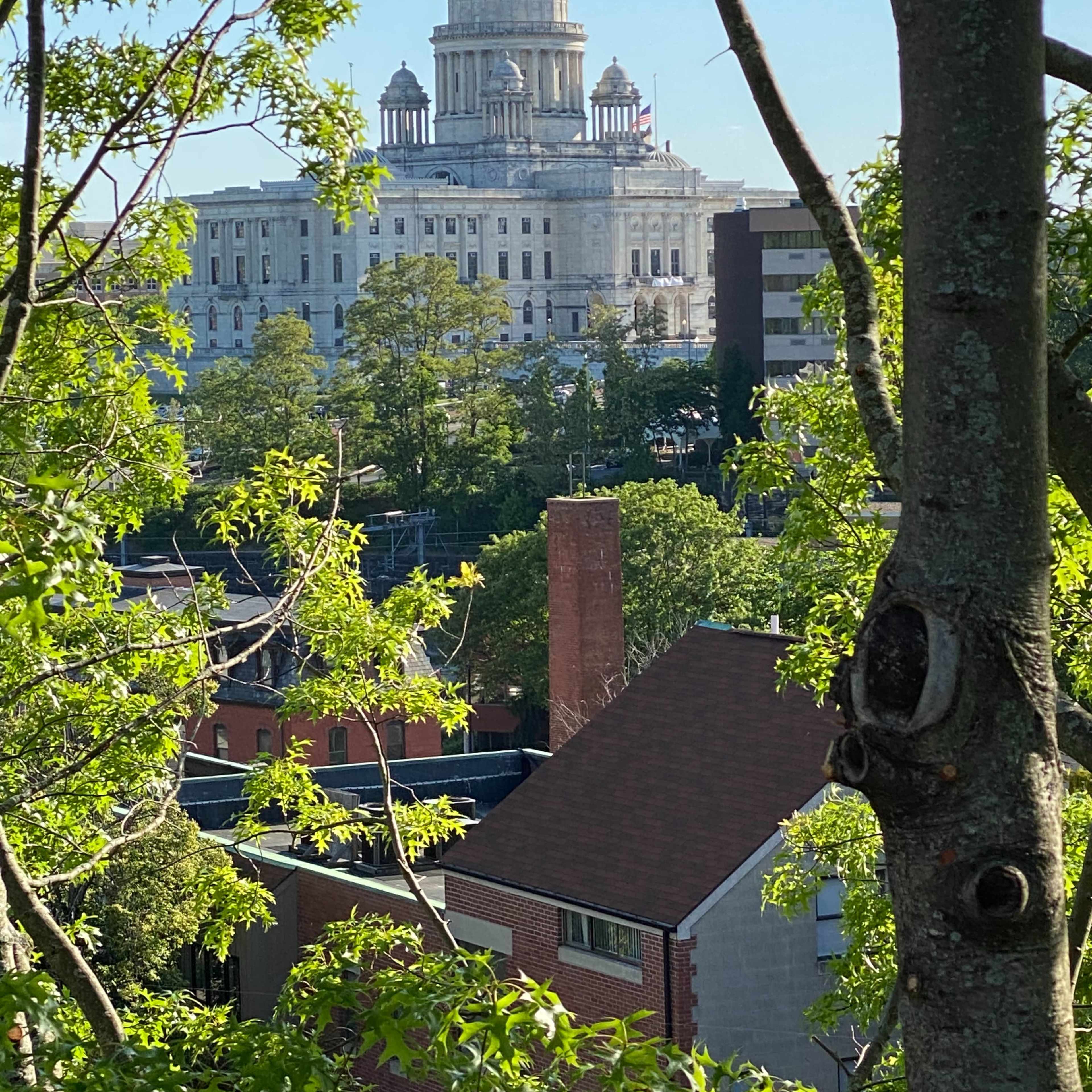 The Rhode Island State House is visible in the background, framed by tree branches and rooftops in the foreground.