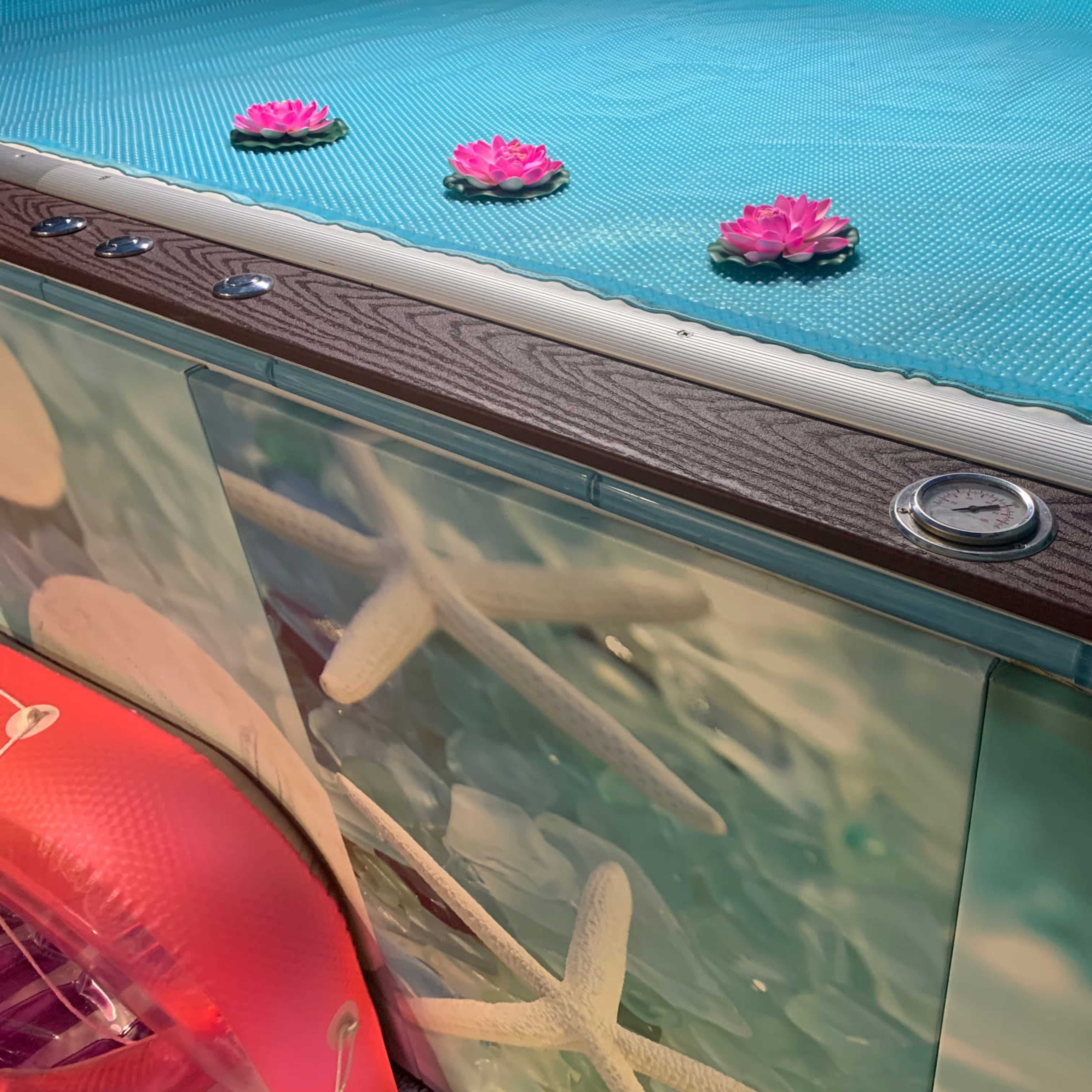 A turquoise pool surface adorned with pink lotus flowers and a pressure gauge against a backdrop of starfish imagery.