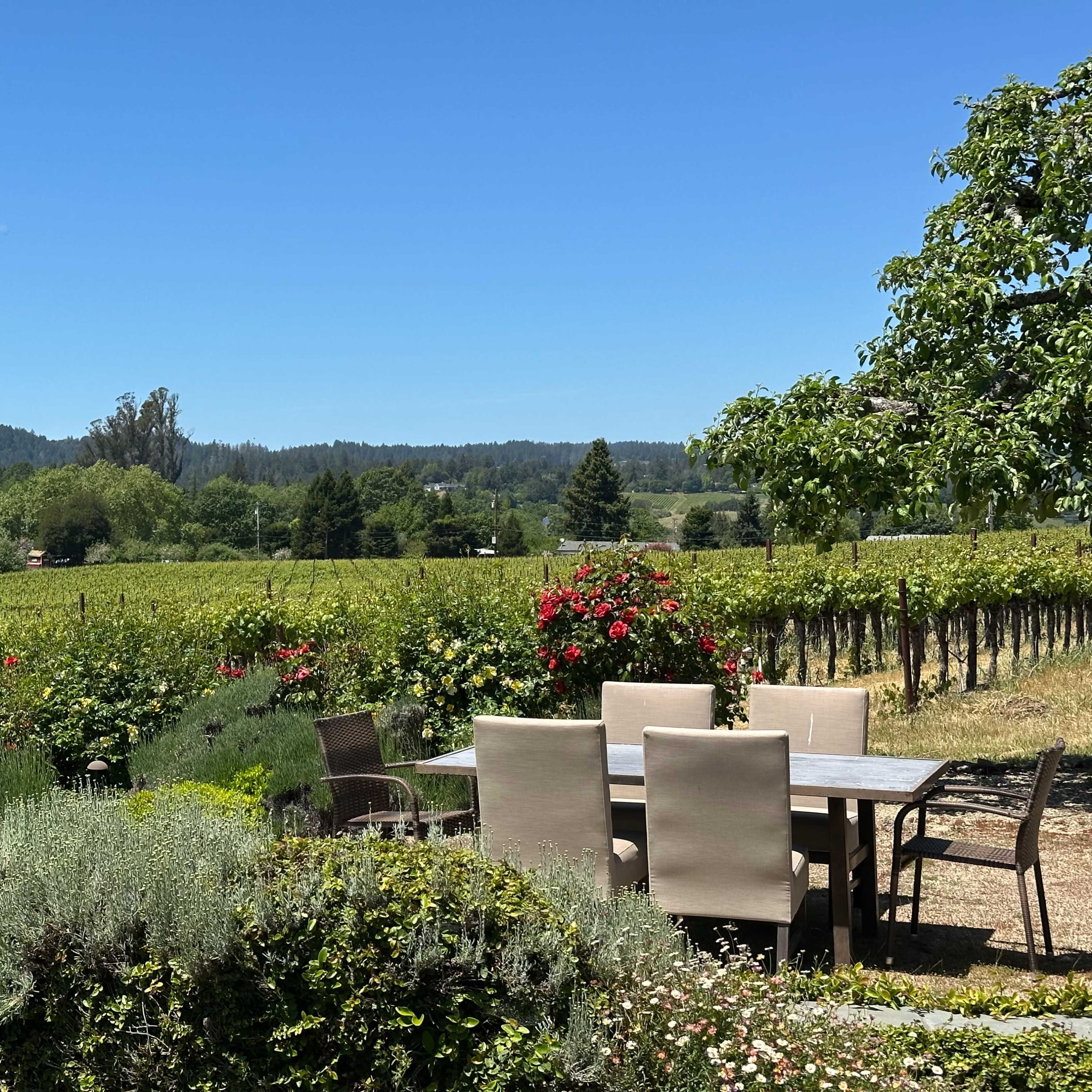 The Dalya Estate Image in , Sebastopol, CA