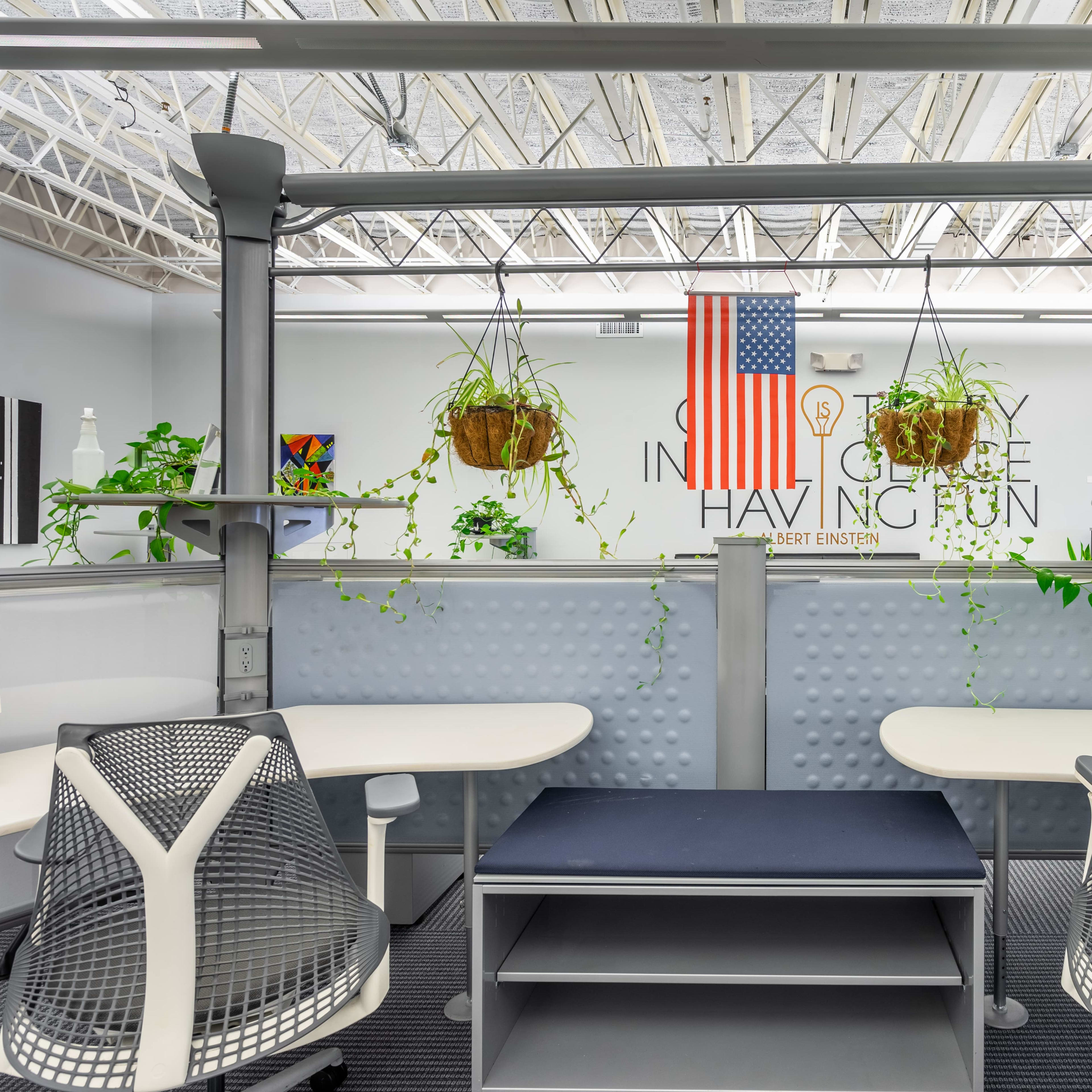 A modern office space with workstations featuring plants, an American flag, and motivational artwork on the walls.