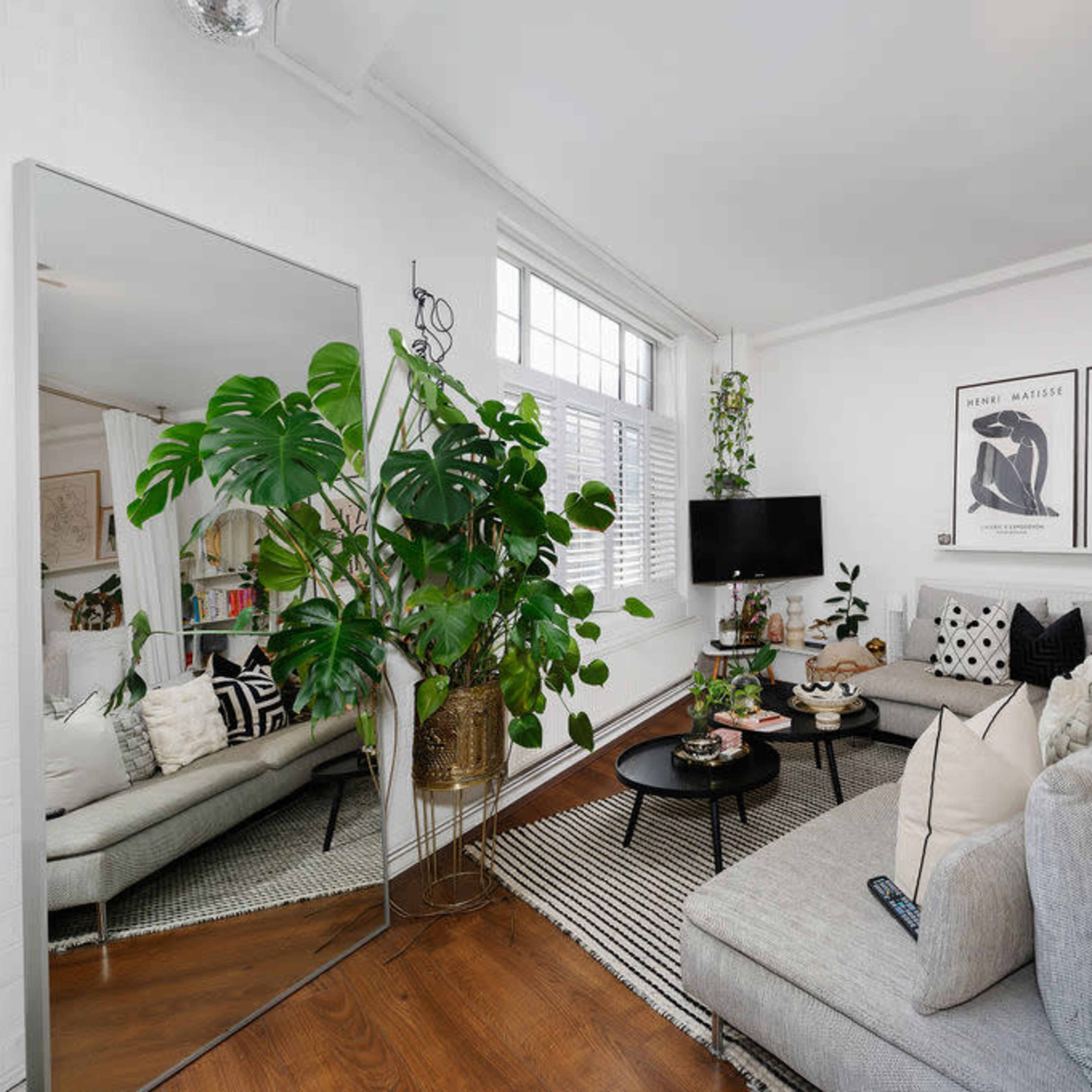 A modern living room features a sectional sofa, large mirror, various potted plants, and framed artwork on white walls.