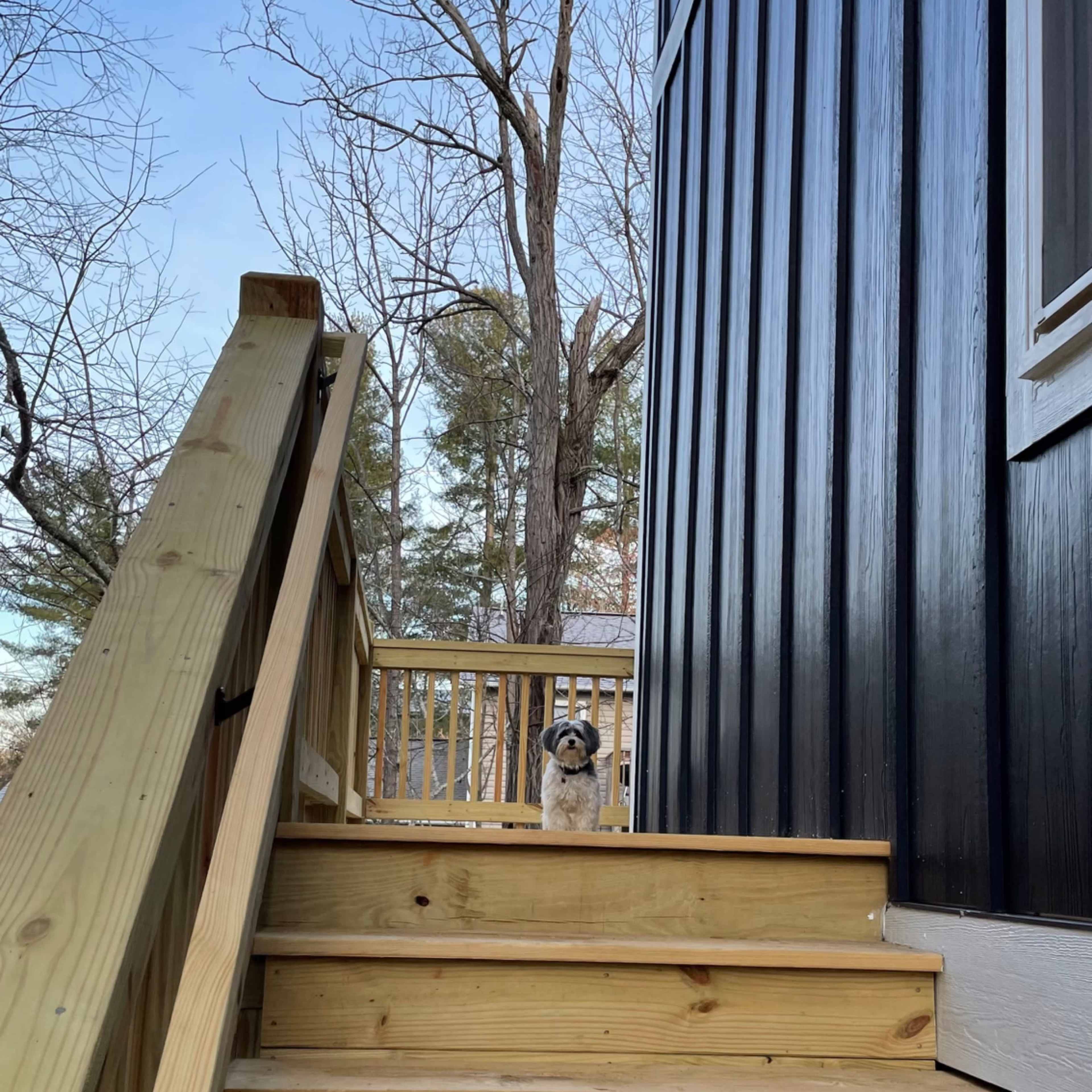 A dog sits on the wooden steps leading to a black-paneled house.