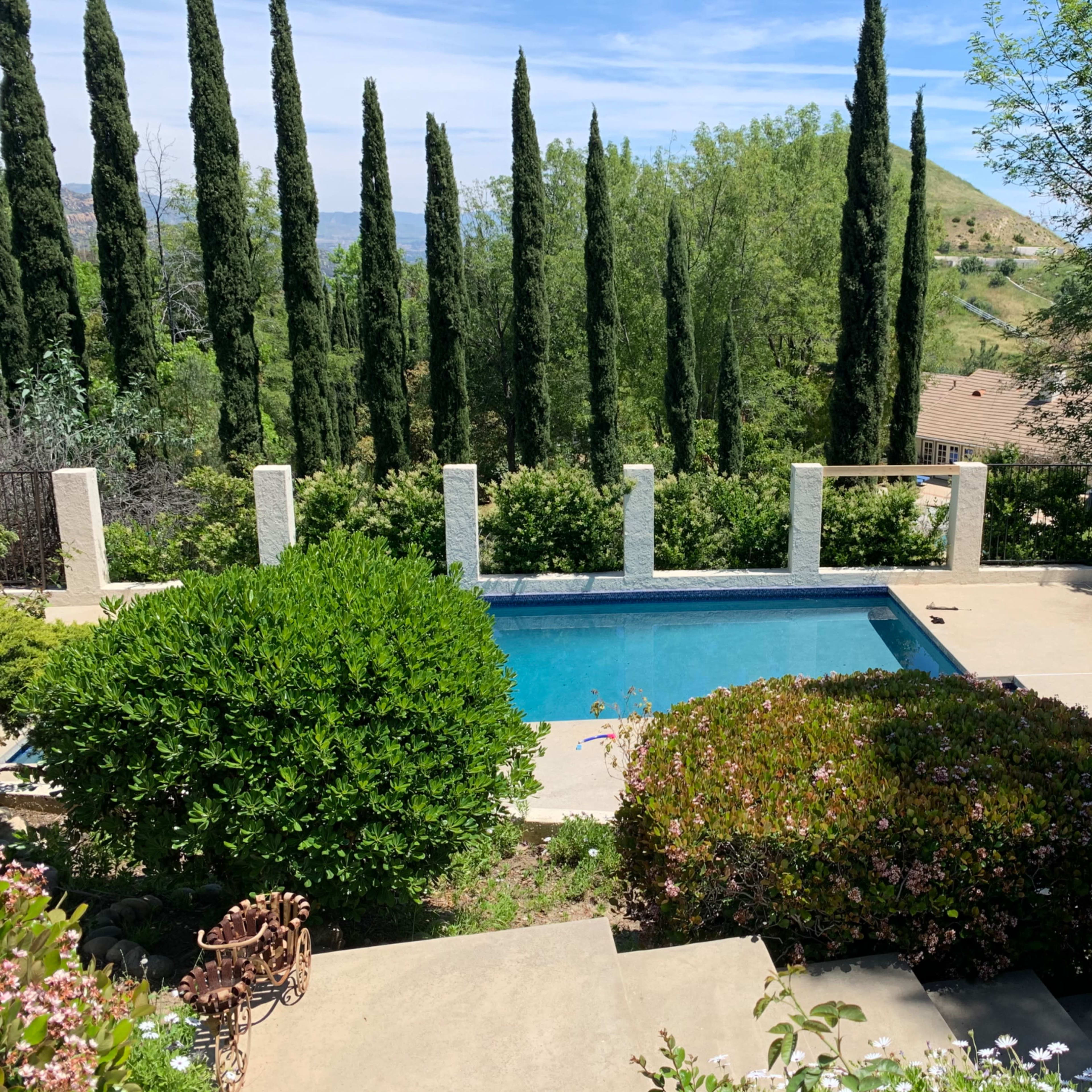 A backyard with a swimming pool surrounded by greenery, tall trees, and a patio with lounge chairs.