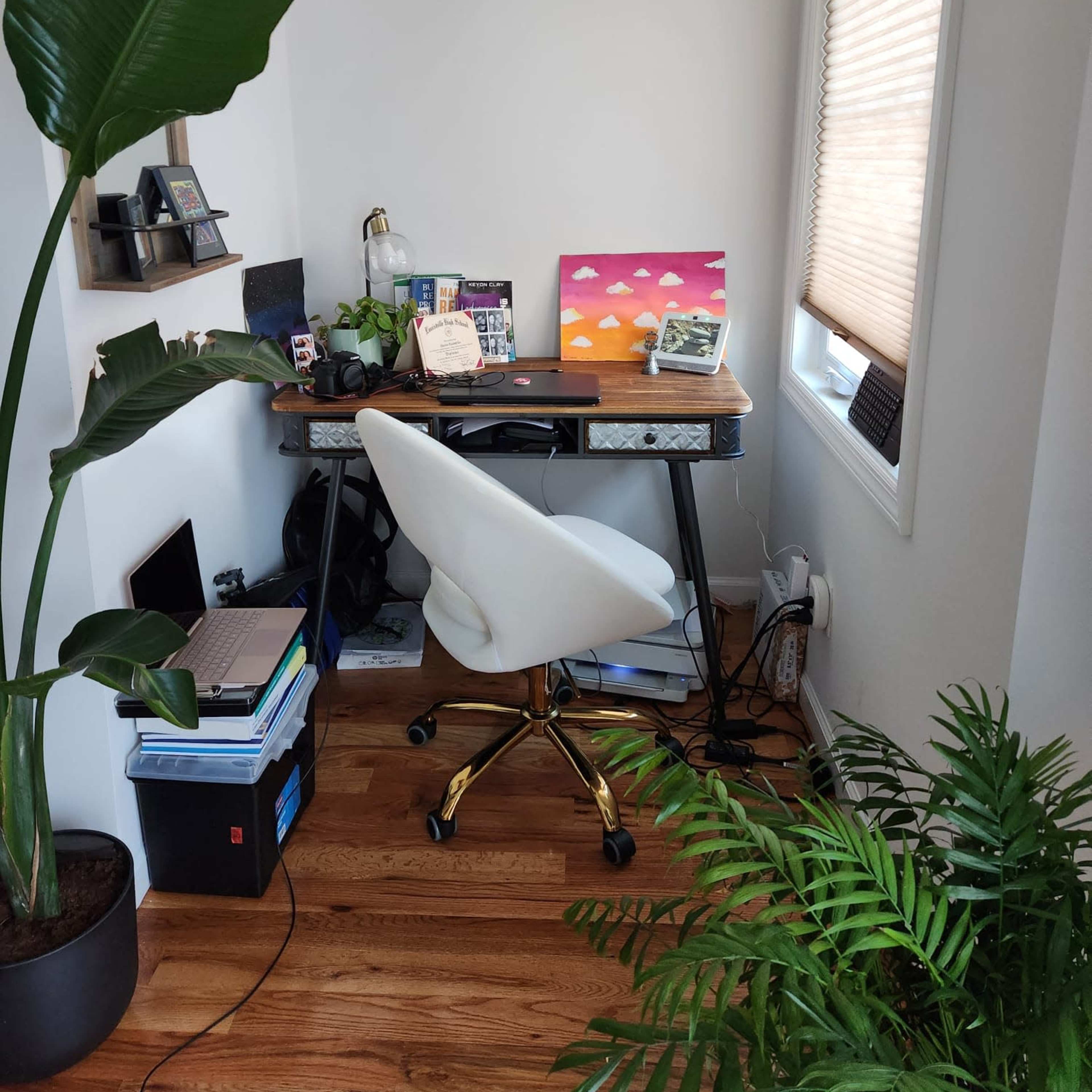 A home office corner features a desk with a chair, laptop, and artwork, surrounded by potted plants and natural light from a window.