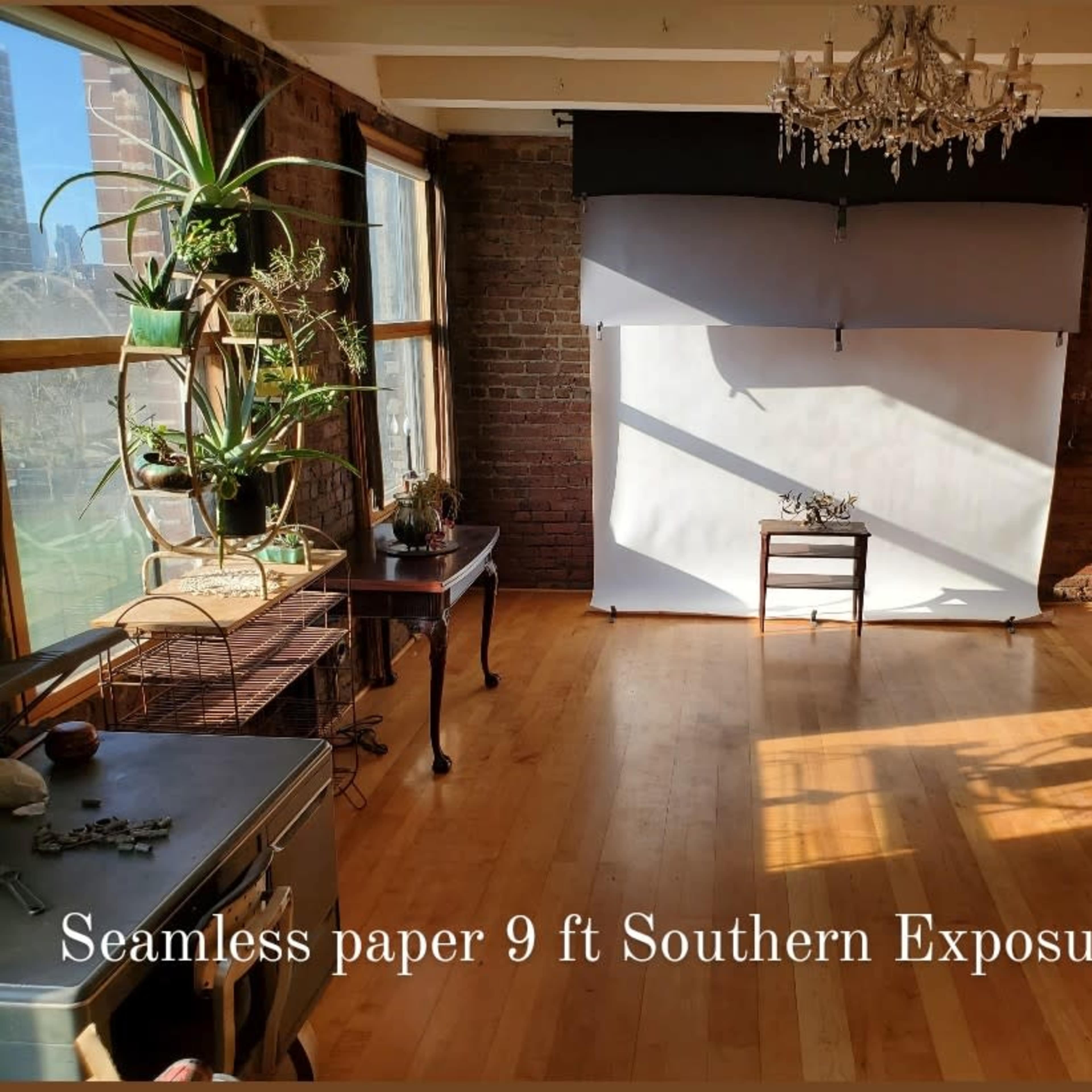 The scene depicts a spacious room with wooden floors, large windows letting in natural light, and a backdrop of seamless paper set up for photography.