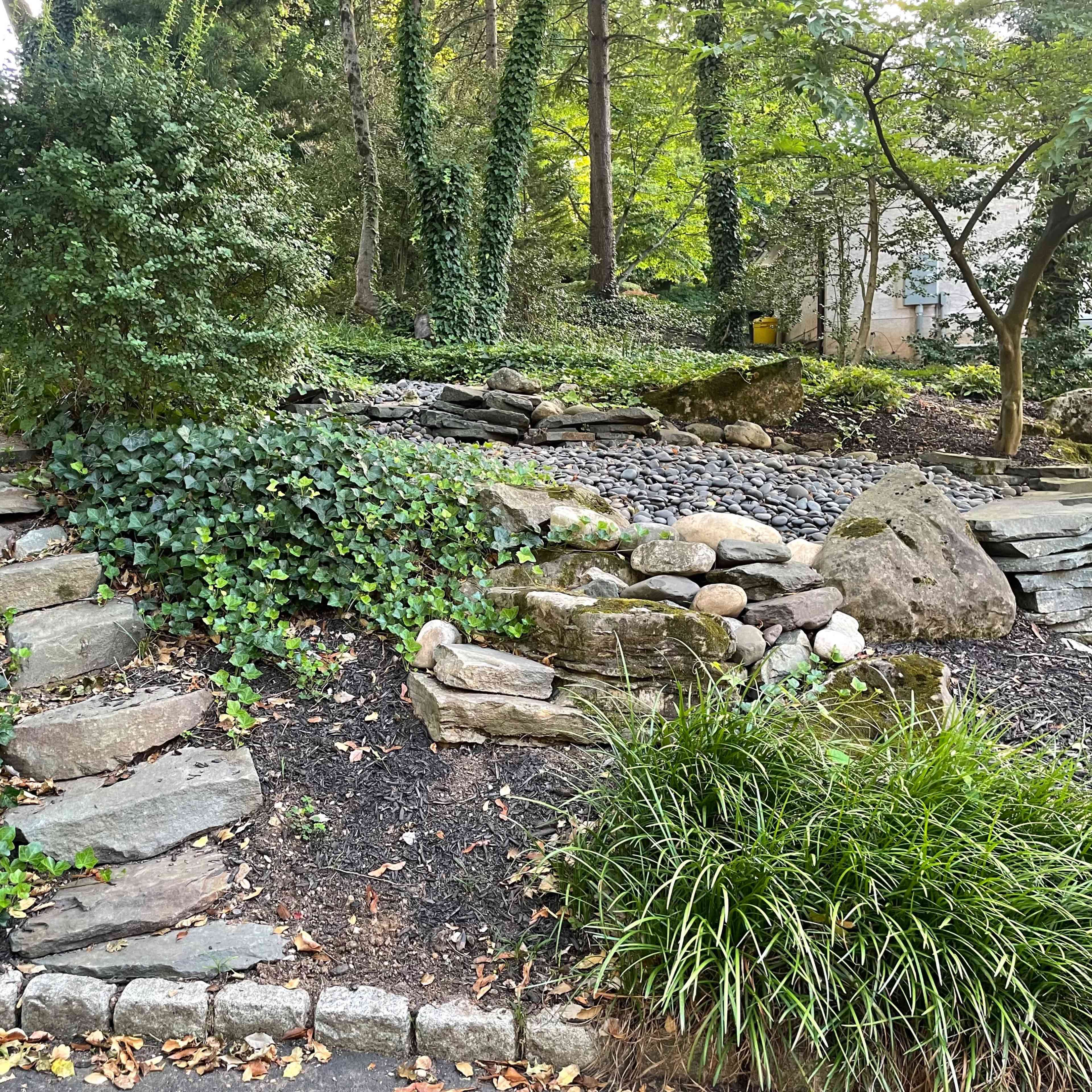 A landscaped area featuring stone steps, decorative rocks, and various greenery, including ivy and shrubs.