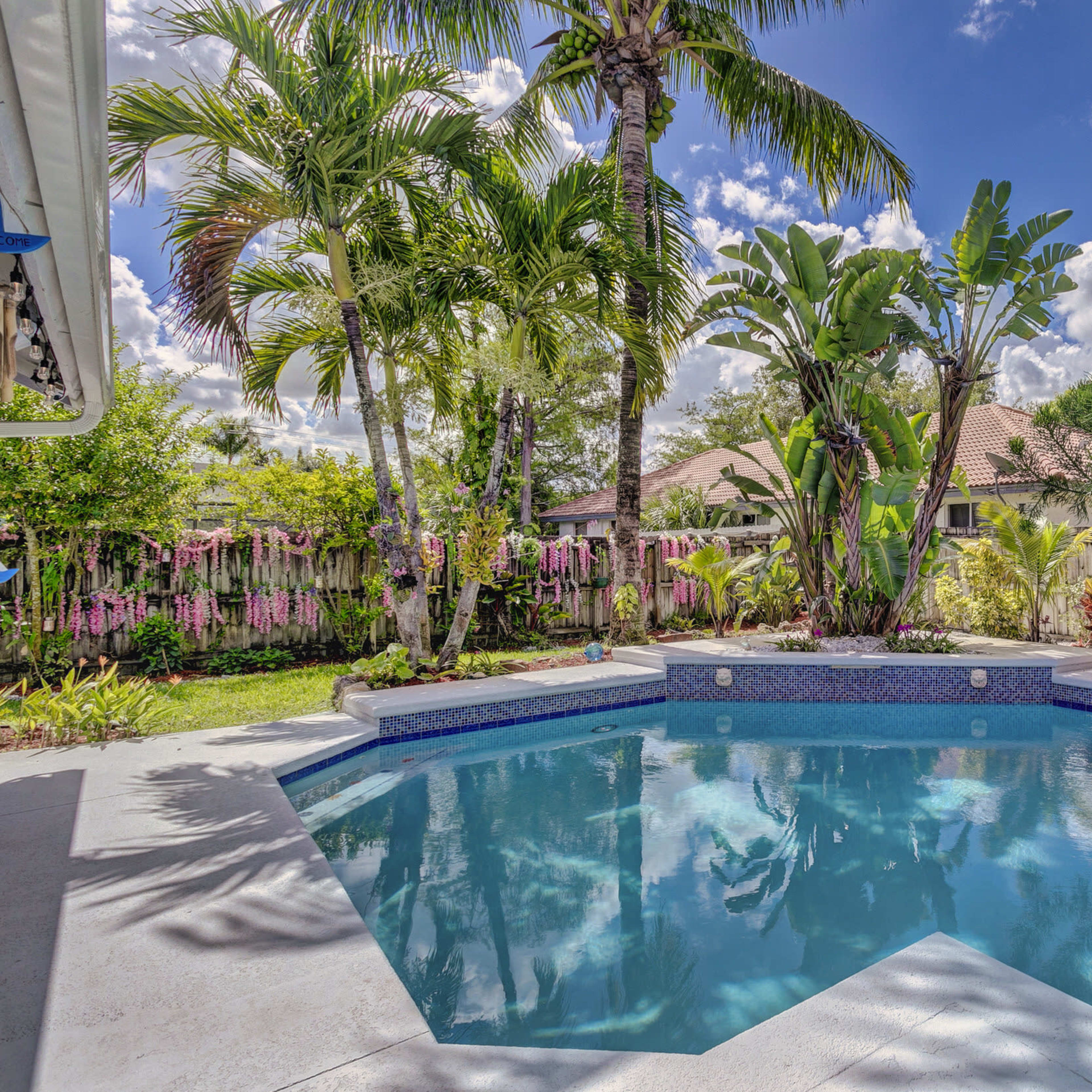 A swimming pool surrounded by palm trees and tropical plants in a backyard setting.