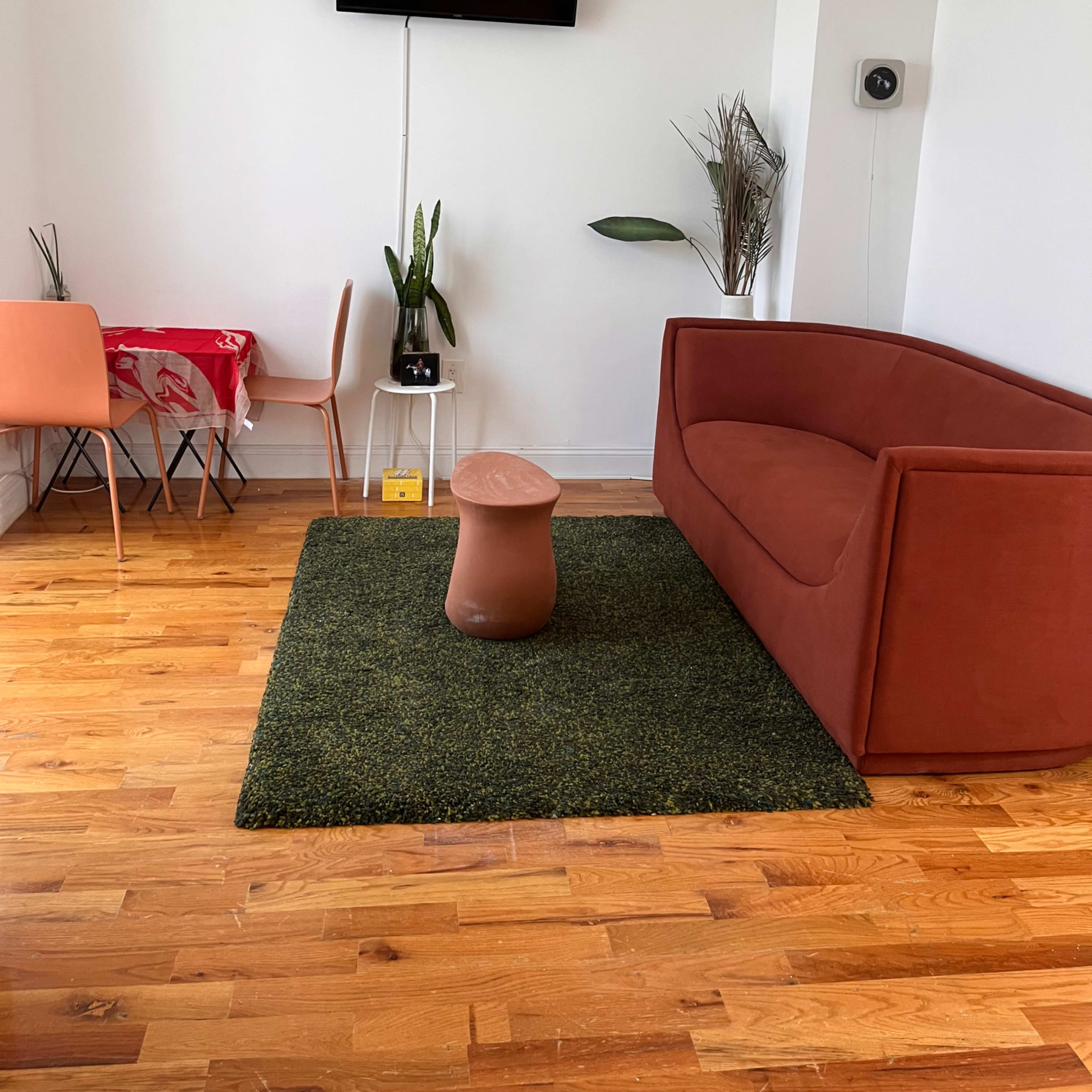 A living room features a brown sofa, a round clay table, a green rug, and a flat-screen TV mounted on the wall.