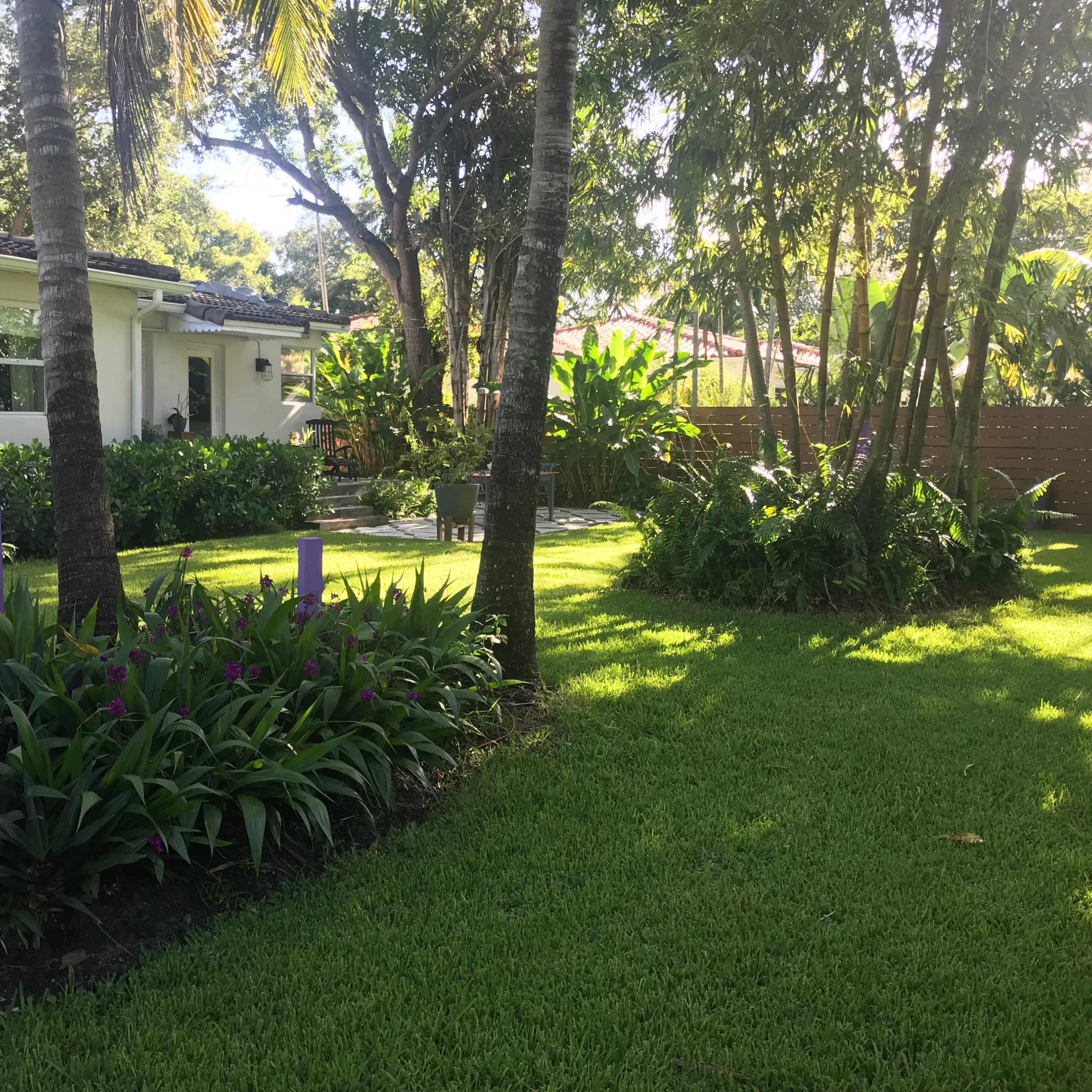 A residential backyard features purple columns amidst lush greenery and tropical plants.