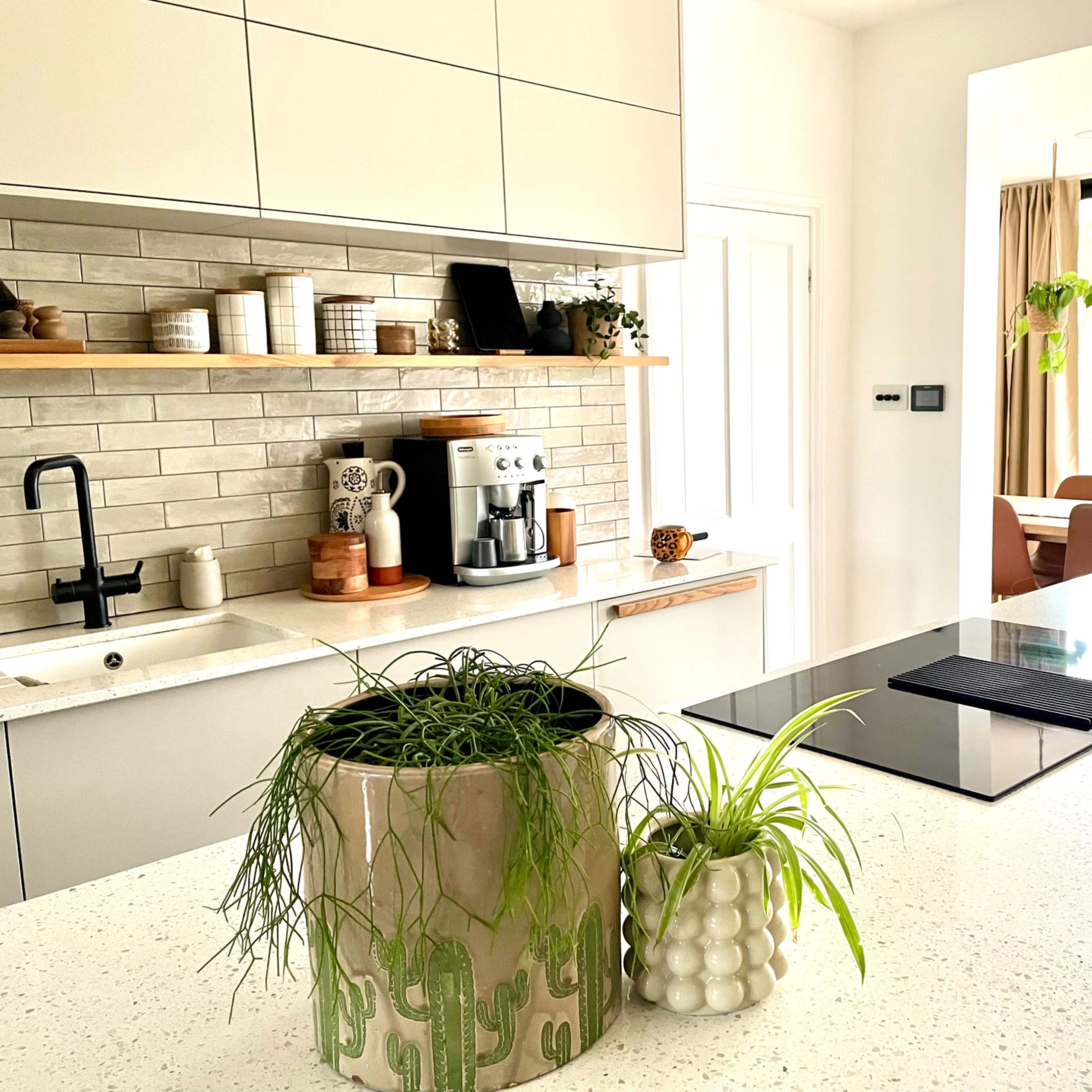 A modern kitchen features a central island with a countertop plant, sleek cabinetry, and a window displaying greenery outside.