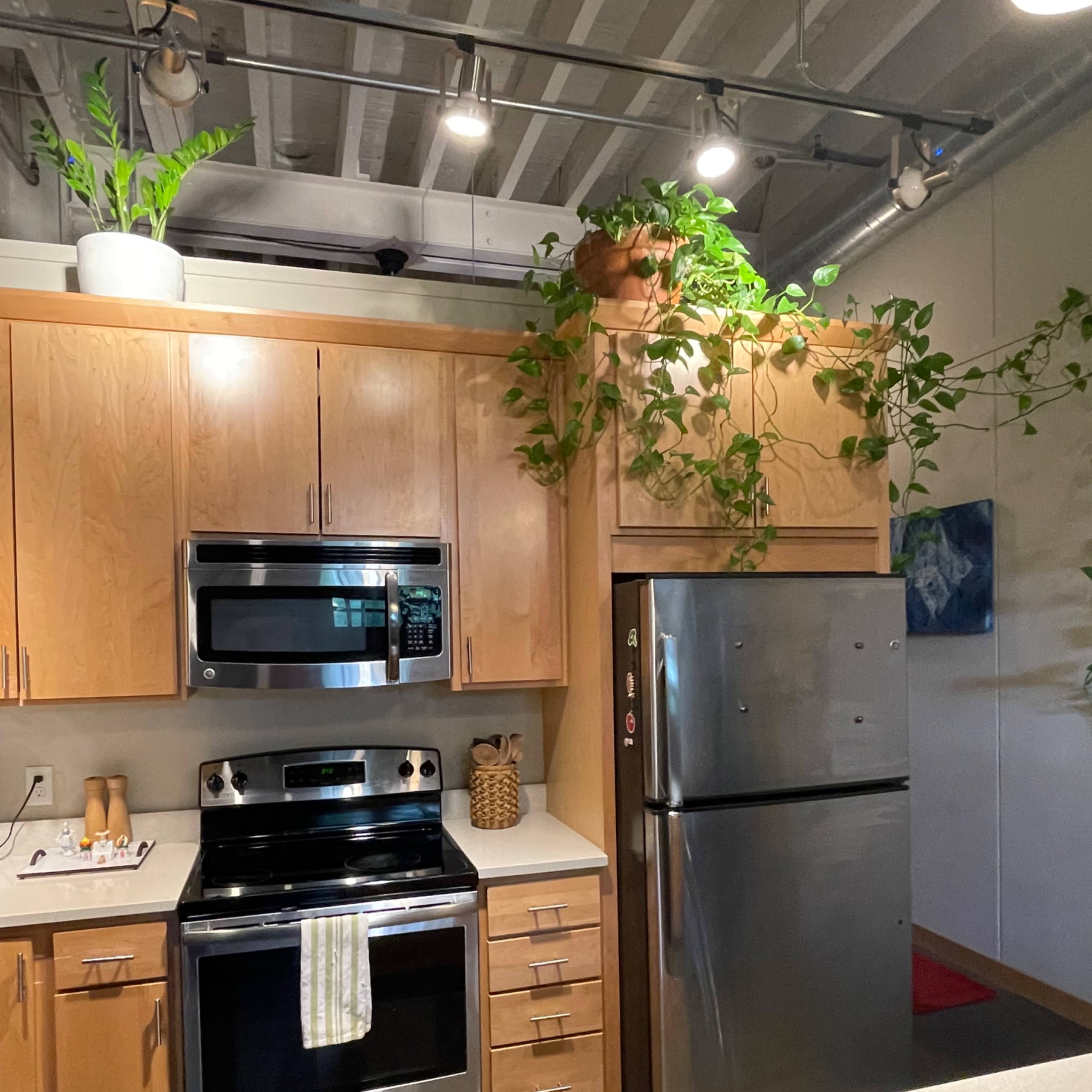 Riverside Art Loft with Skyline View Image in Marcy-Holmes, Minneapolis, MN