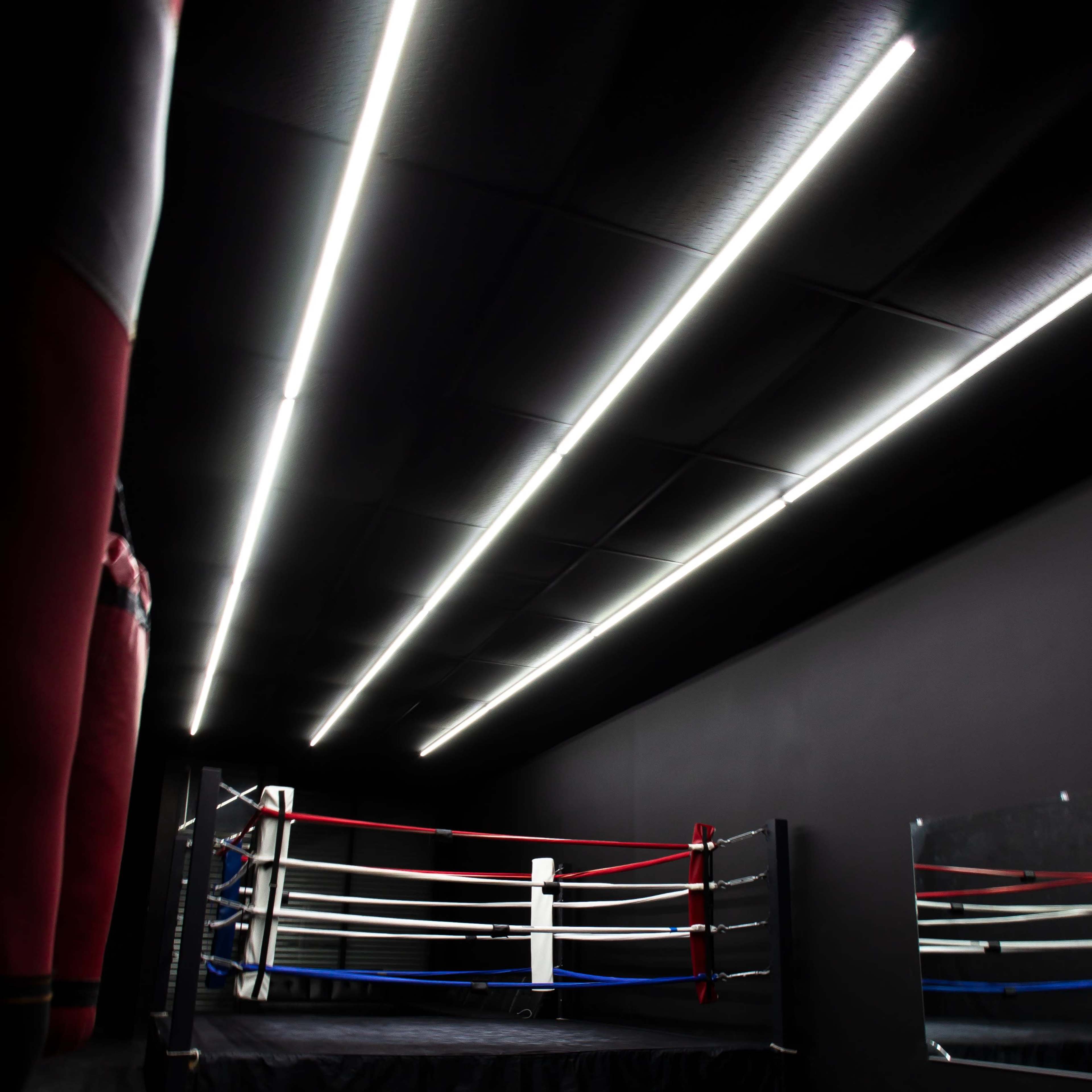 Infinity Boxing Gym Image in Central LA, Los Angeles, CA