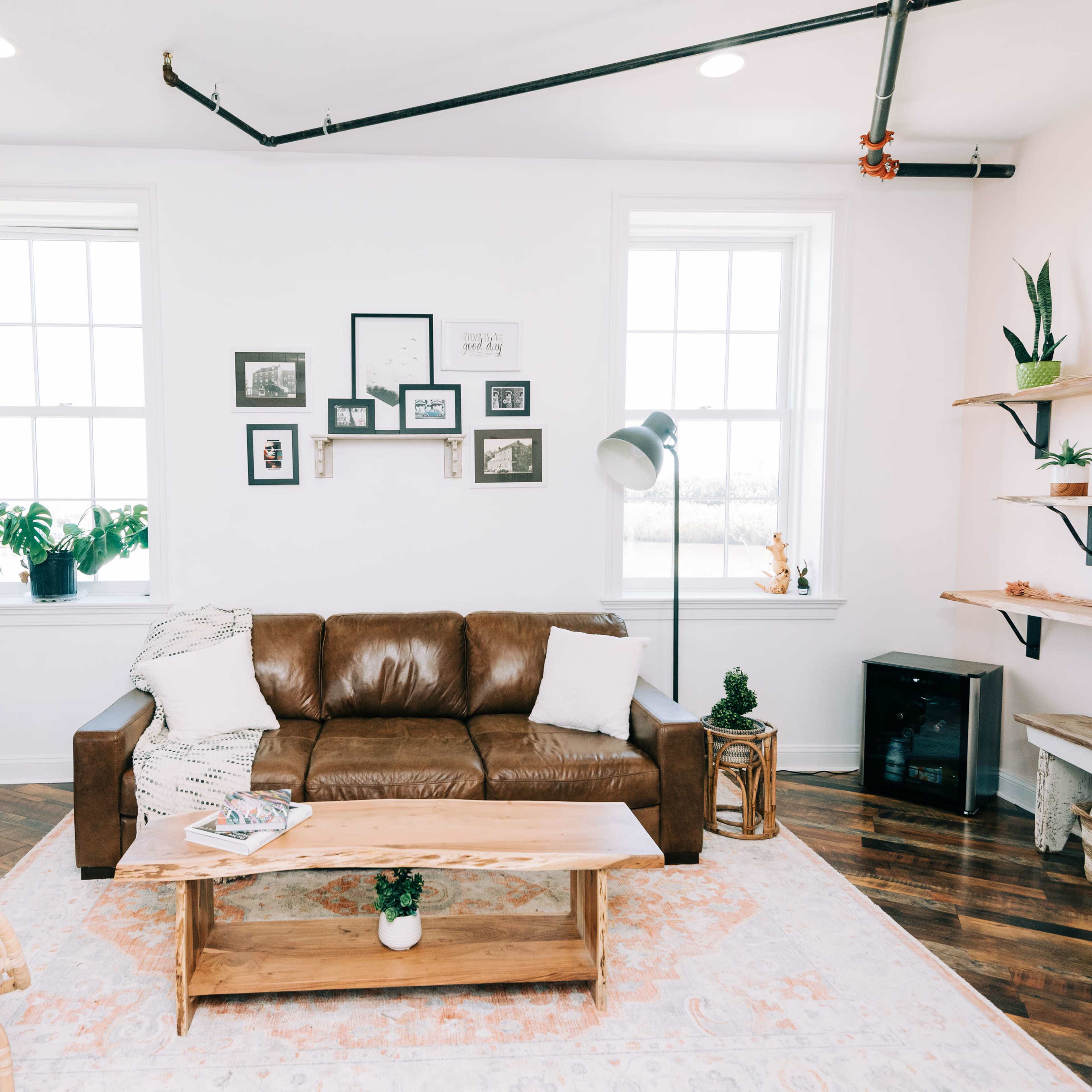 A living room features a brown leather sofa, a wooden coffee table on a light rug, and plants on shelves and windowsills.