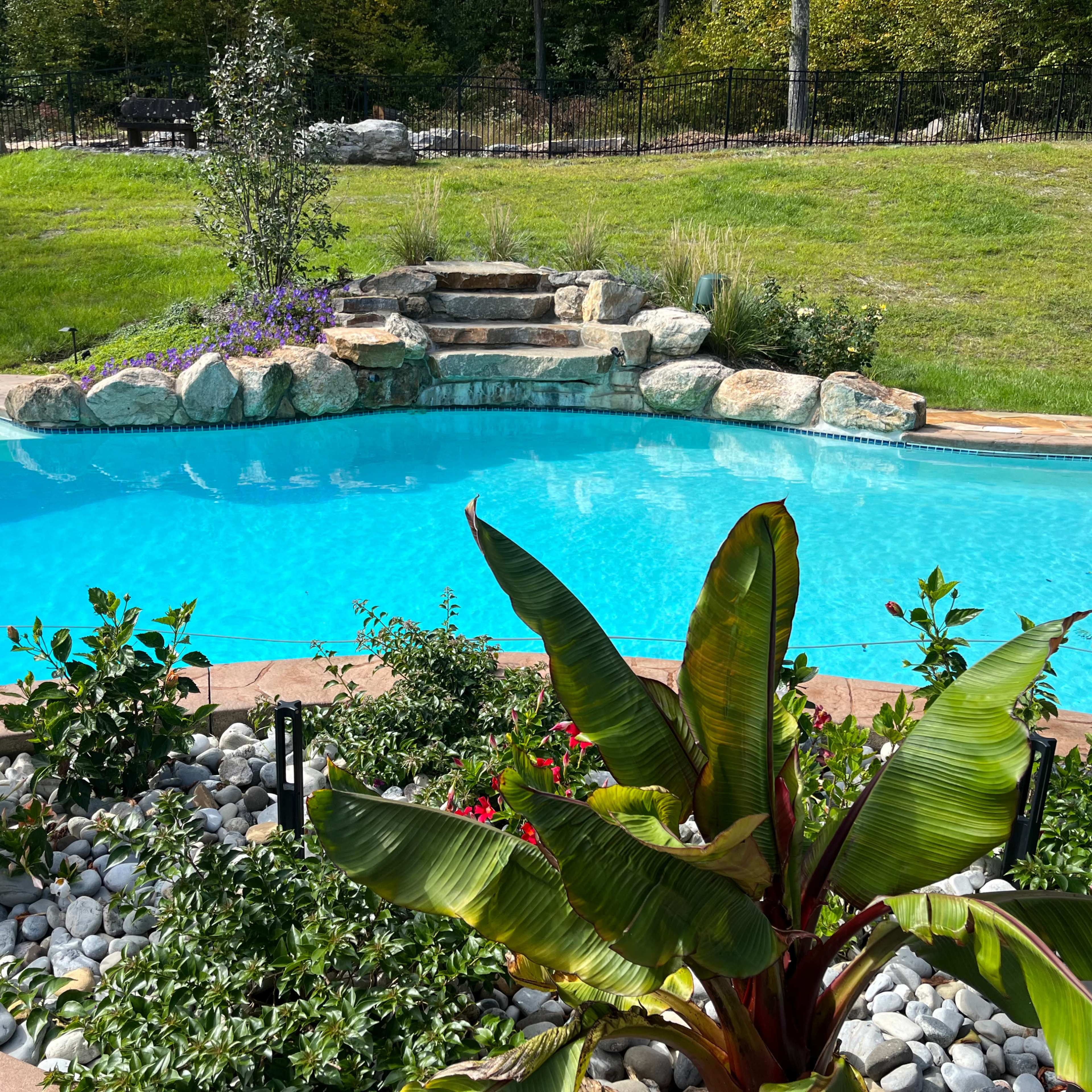 A clear blue swimming pool is surrounded by landscaped rocks, plants, and a tiered stone feature.
