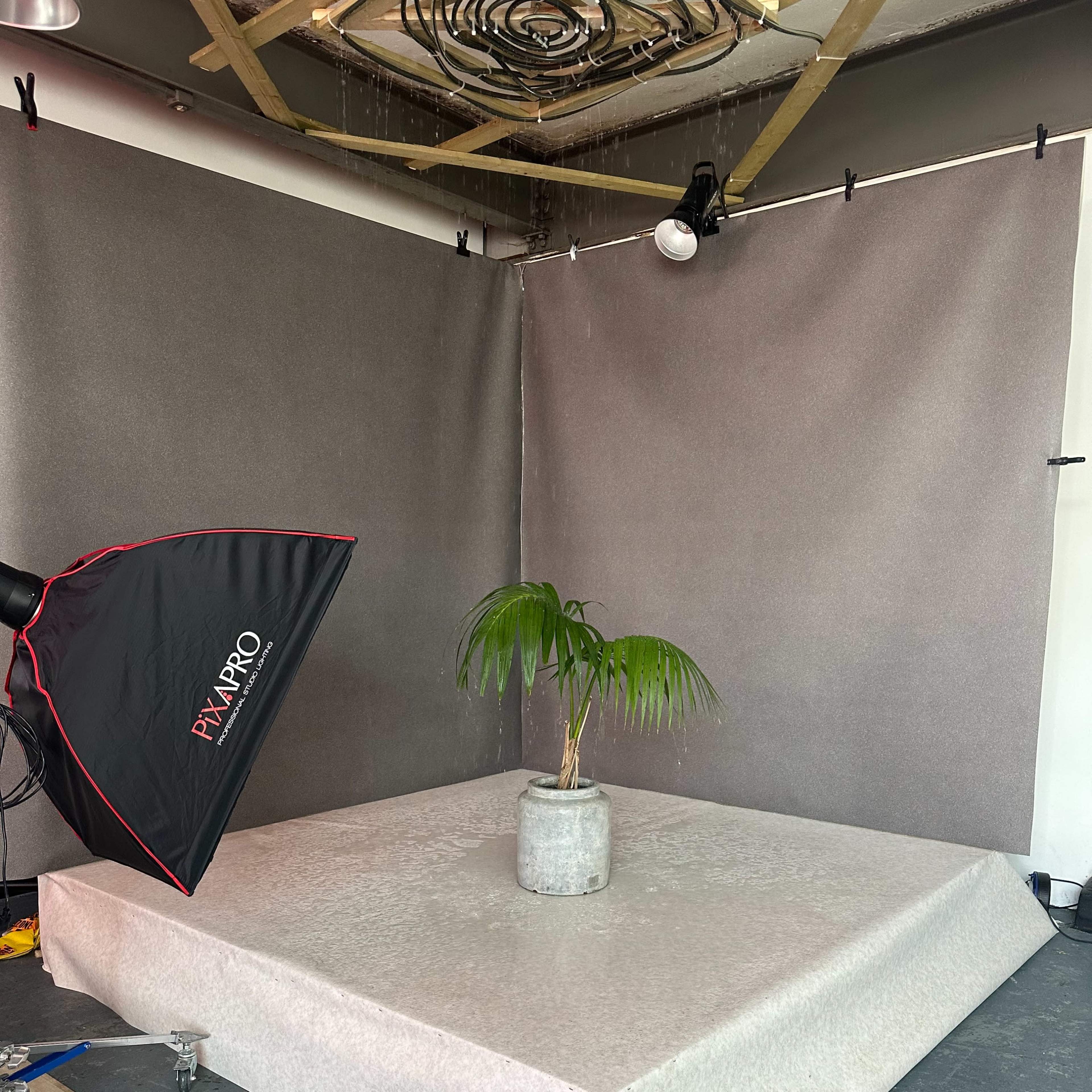 A photography setup features a potted plant on a draped surface surrounded by gray backdrop materials and studio lighting equipment.