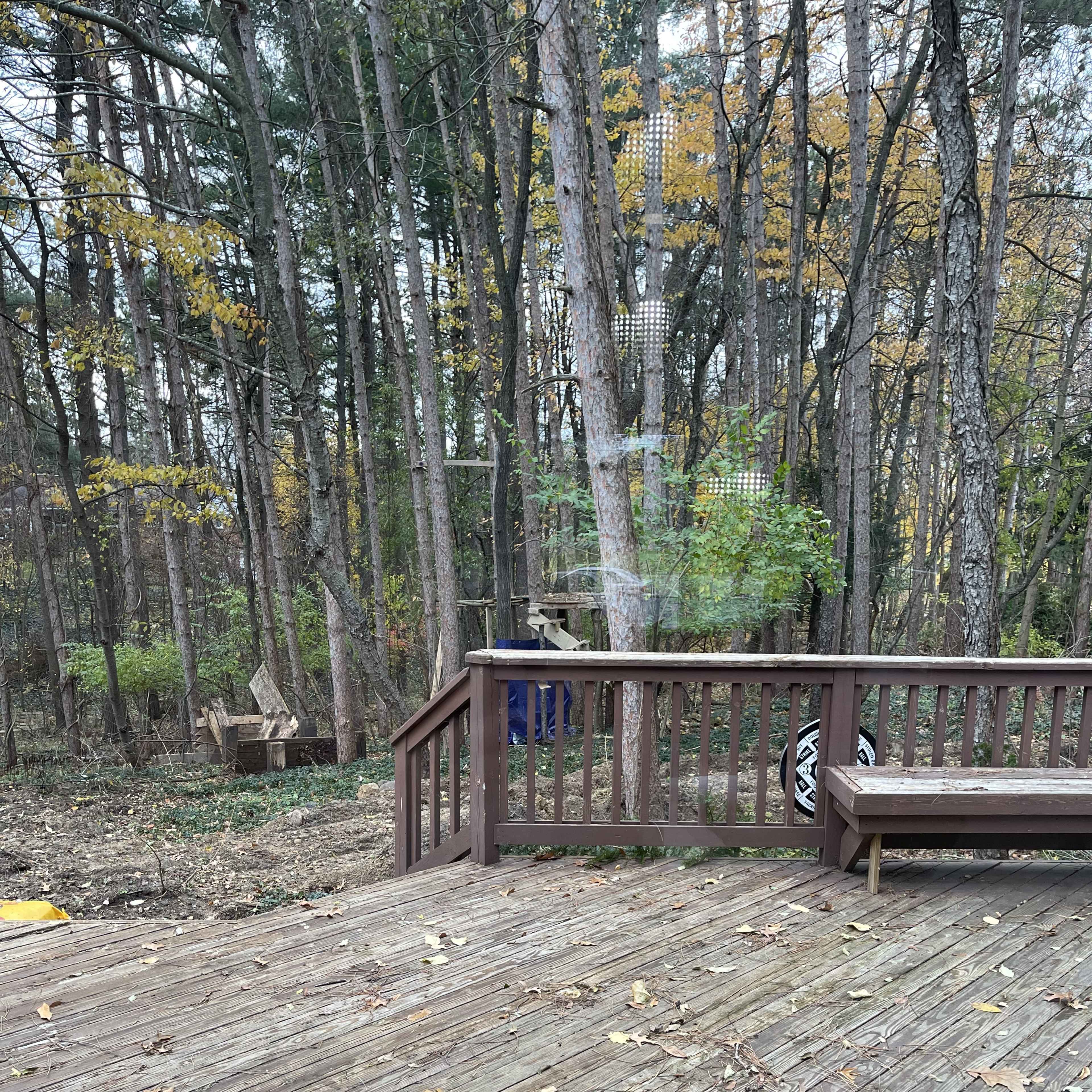 A wooden deck overlooks a wooded area with trees, fallen leaves, and a small clearing in the background.