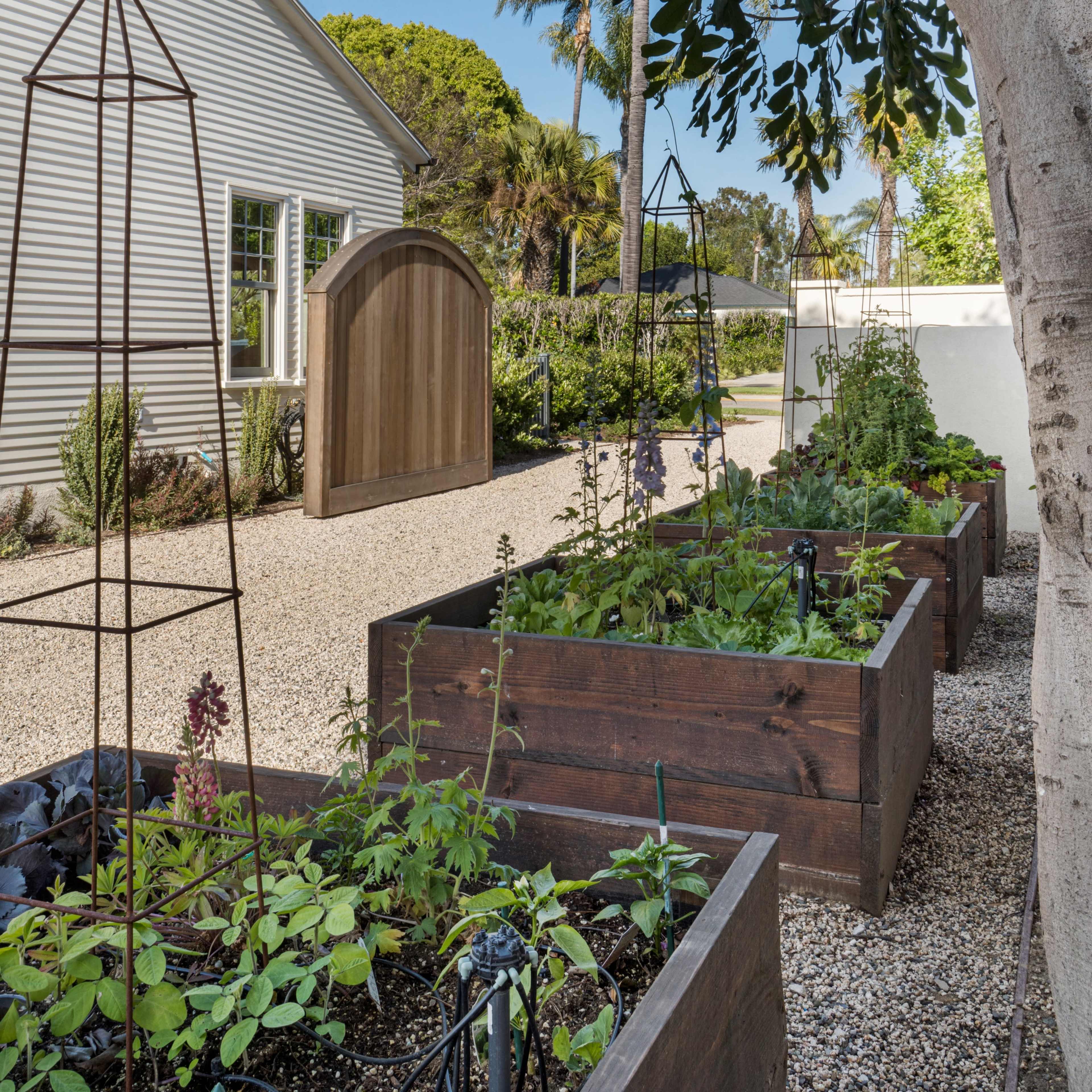 A garden area featuring wooden raised beds filled with various plants, alongside a gravel pathway leading to a wooden gate.