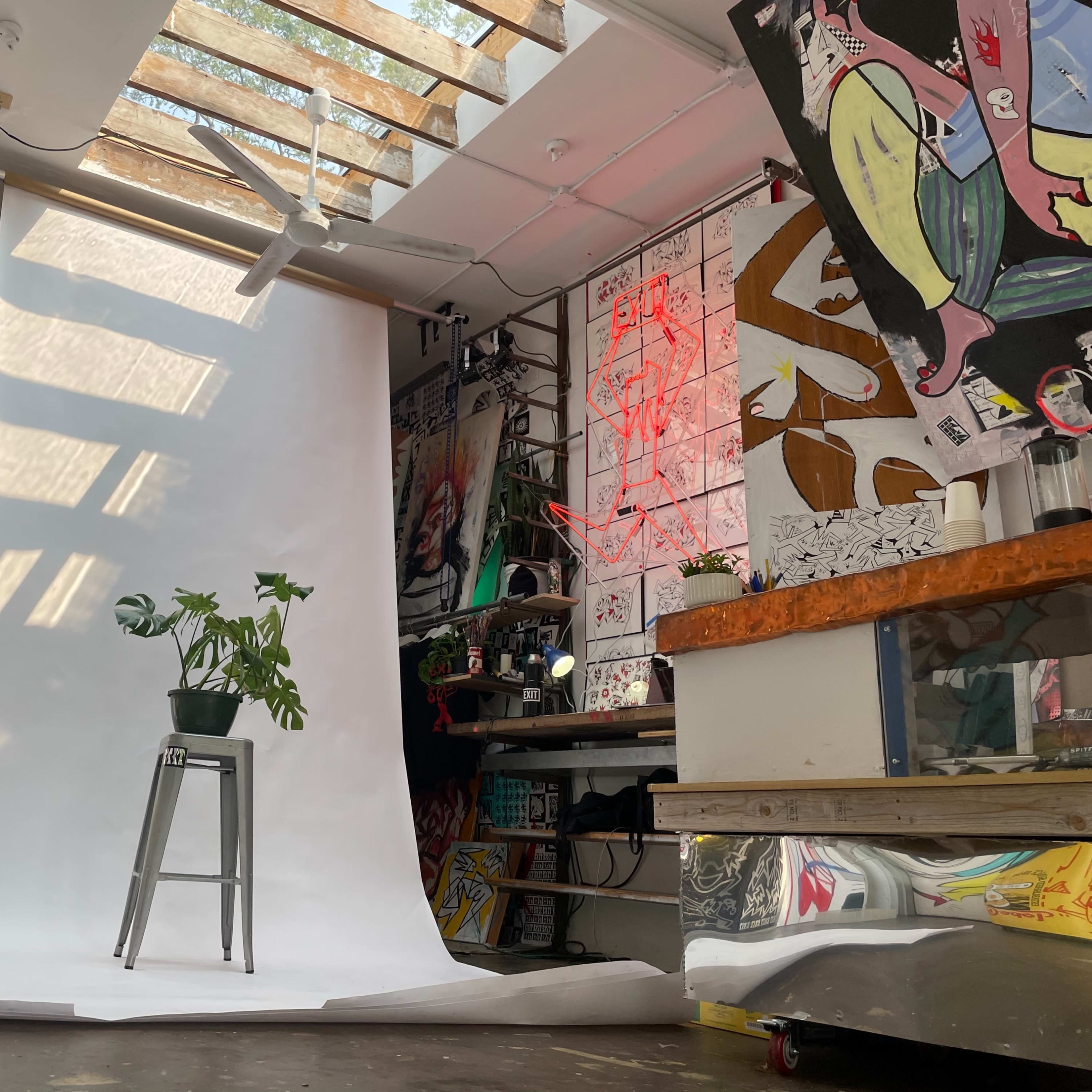 The scene shows a photography studio with a white backdrop, a potted plant on a stool, and various colorful artworks and cluttered surfaces surrounding the area.
