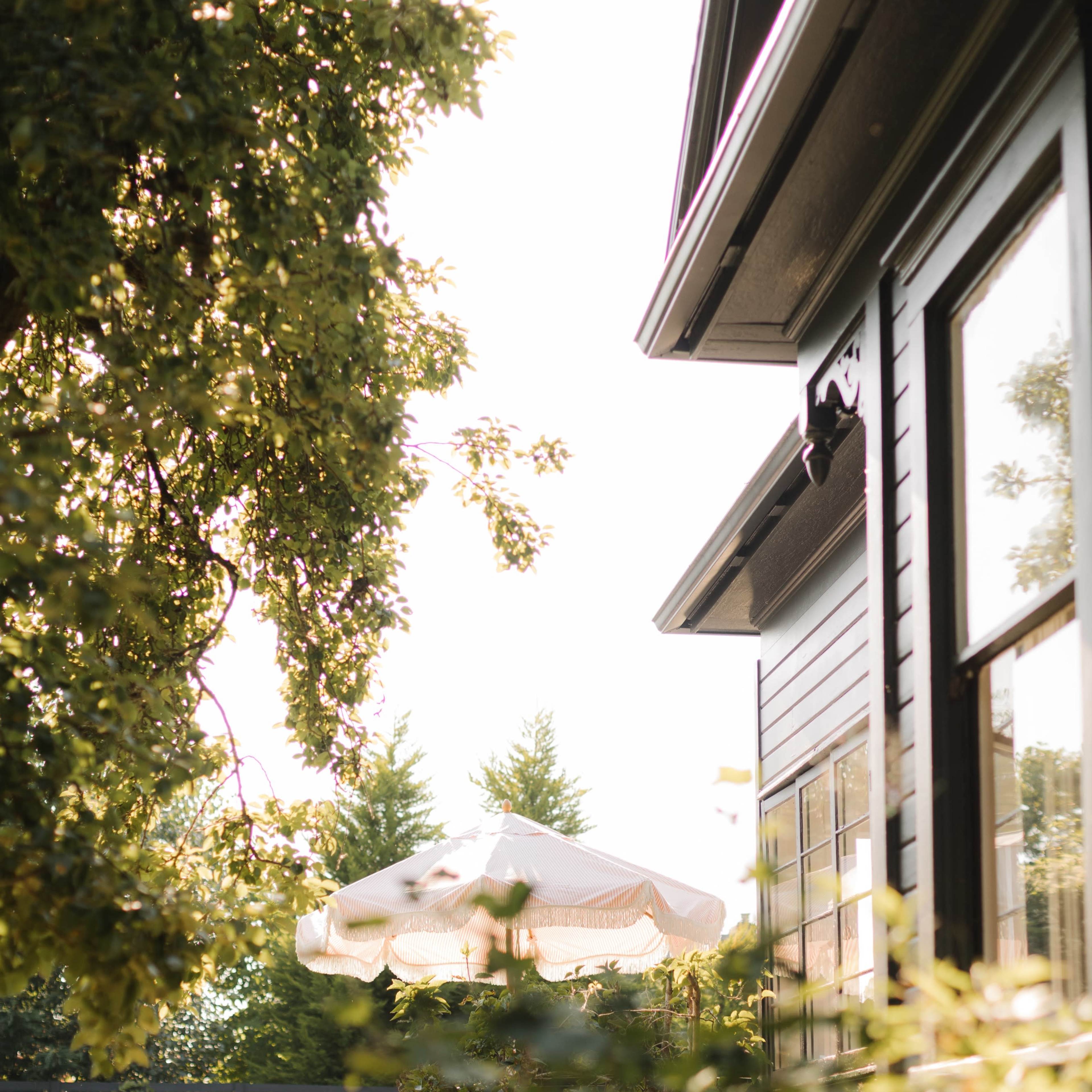 A sunny backyard scene featuring a shaded patio with an umbrella beside a house, framed by trees and bushes.