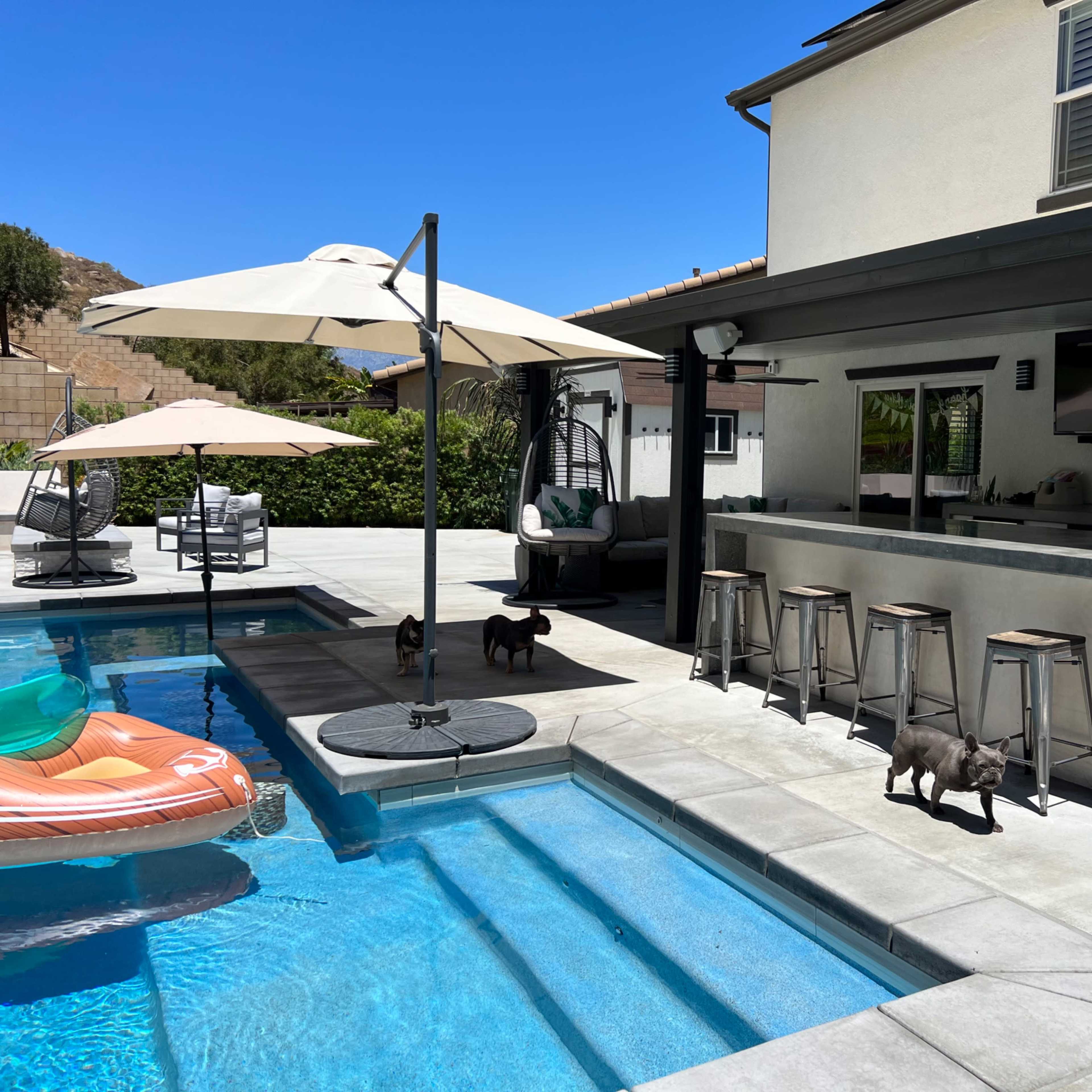 A backyard area with a swimming pool, a bar with stools, several umbrellas, and two dogs walking near the pool.