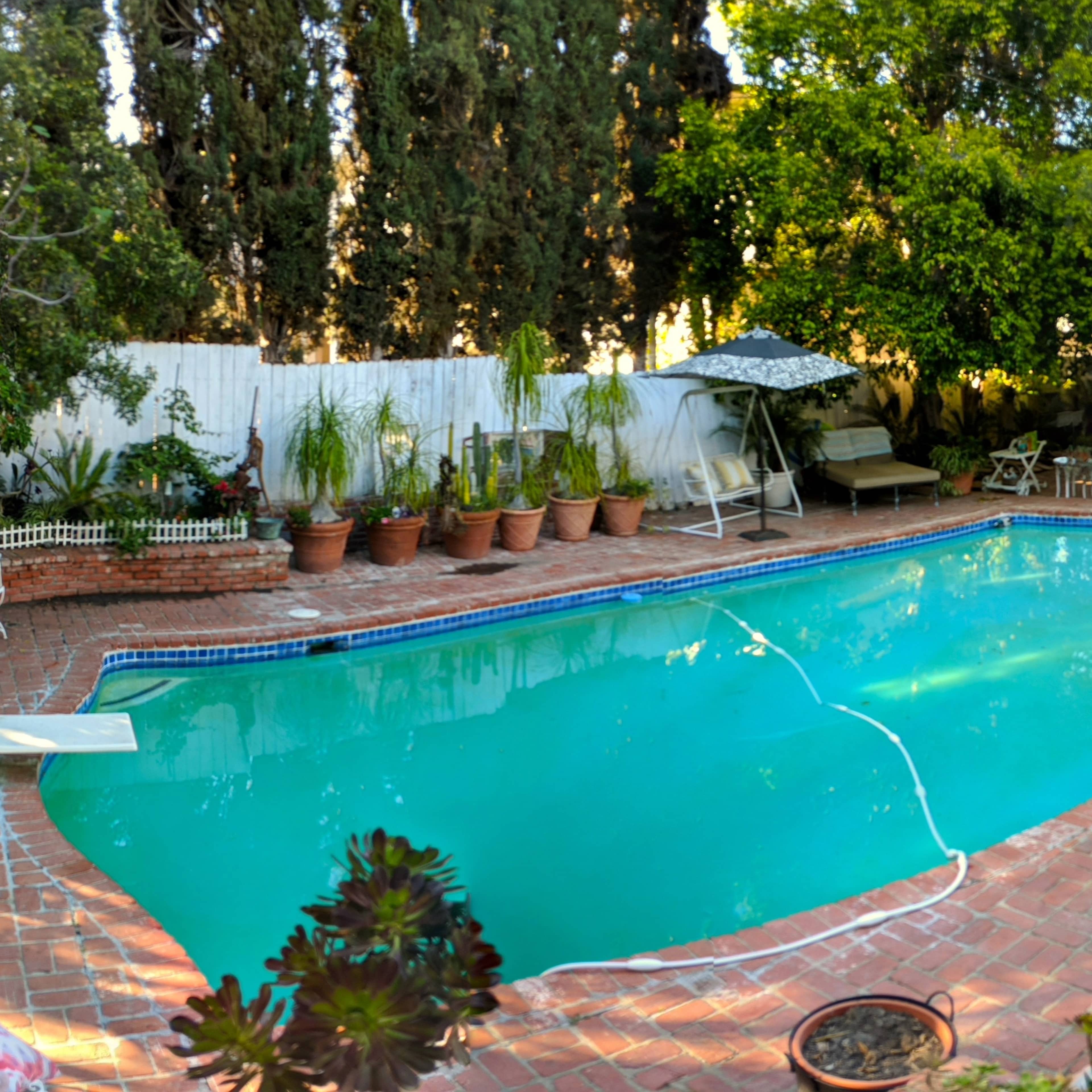 A rectangular swimming pool surrounded by brick pavement, lounge chairs, potted plants, and shaded seating areas.